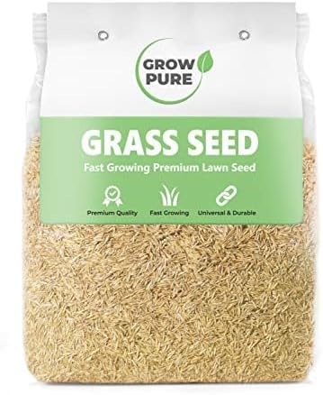 Grass Seed (500g Covers up to 30 sqm) Fast Growing Grass Seed for Quick Lawn Pat...