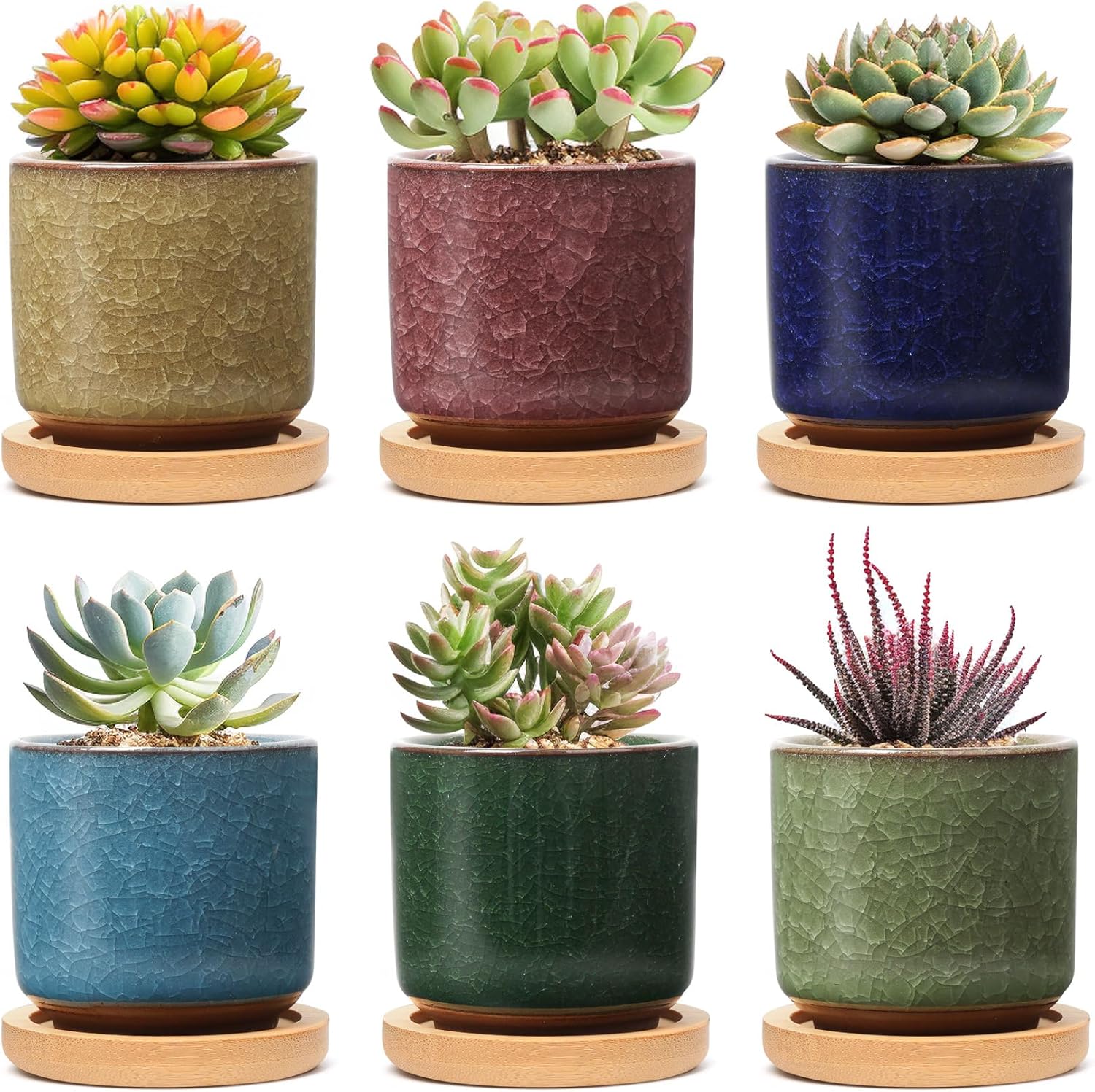 T4U 6cm Ice Crack Serial Ceramic Succulent Plant Pot Set of 6, Small Plant Pots...