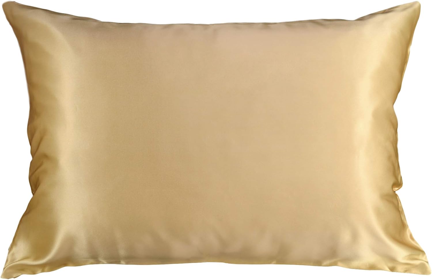 Celestial Silk 100% Silk Pillowcase for Hair Zippered Luxury 25 Momme Mulberry S...