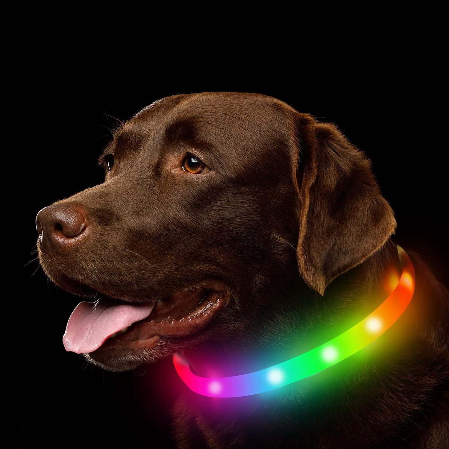 LED Dog Collar, Rechargeable RGB Color Changing Light Up Dog Collars, Waterproof...