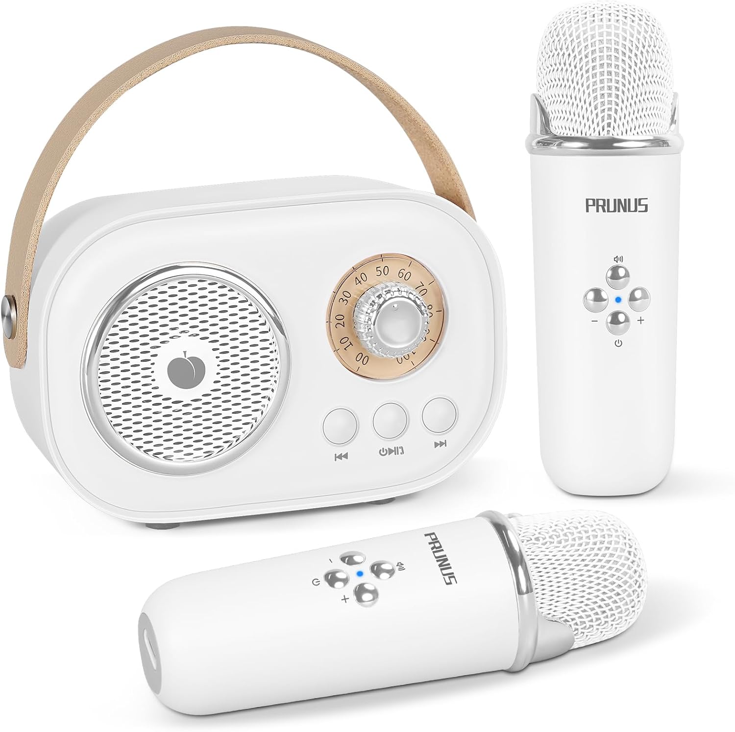 Mini Karaoke Machine for Kids&Adults,Portable Bluetooth Speaker with 2 Wireless...