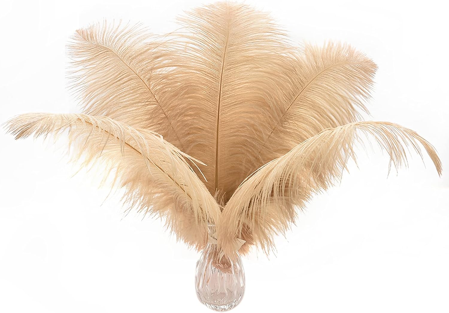 Ballinger Champagne Ostrich Feathers Bulk - 24pcs 10-12inch Boho Feathers for va...