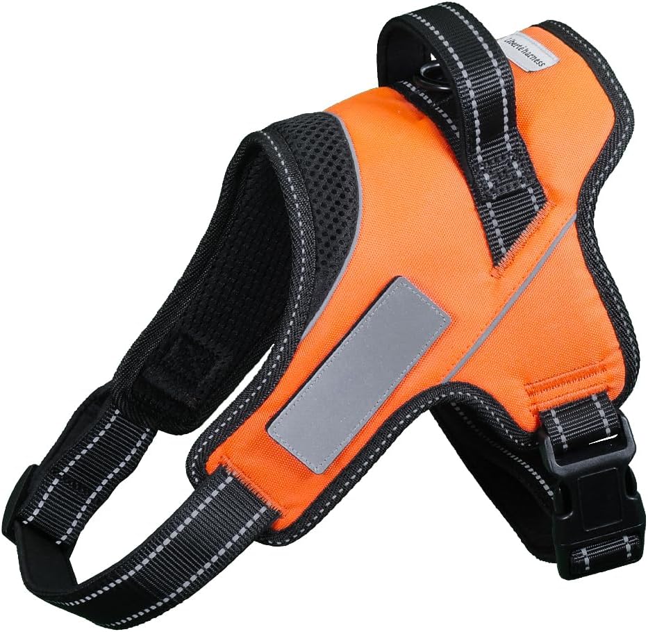 Dog Harness No Pull Name Plate Attachable (Orange, Medium, 11-22lb) Medium Orang...