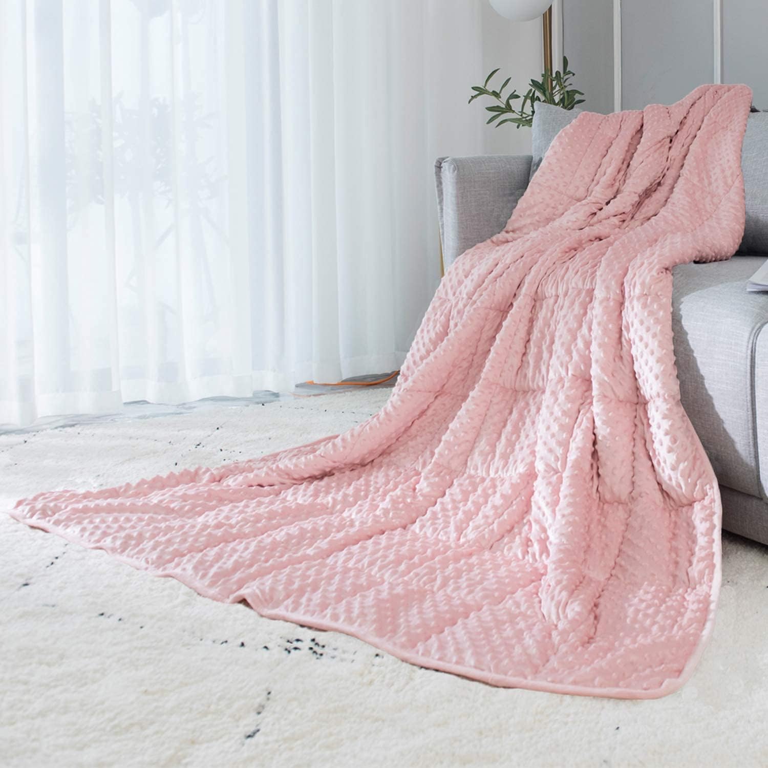 ALANSMA Reversible Weighted Blanket for All Season, Luxury Velvet, Warm and Cool...