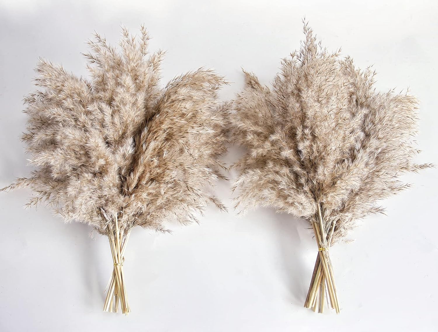 Pampas Grass Decor, Natural Dry Pampas Grass Small, Short Pampass Bulk for Farmh...