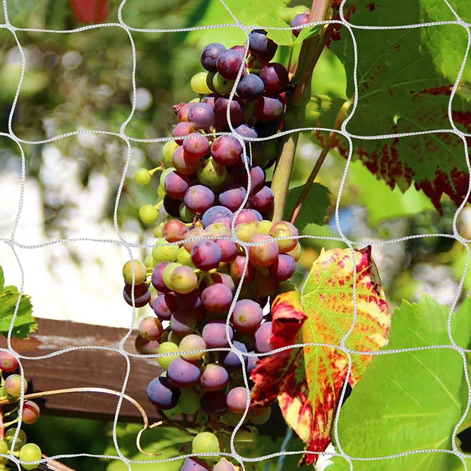 Tcamp Heavy-Duty Polyester Garden Trellis Net Plant Support Netting for Climbing...