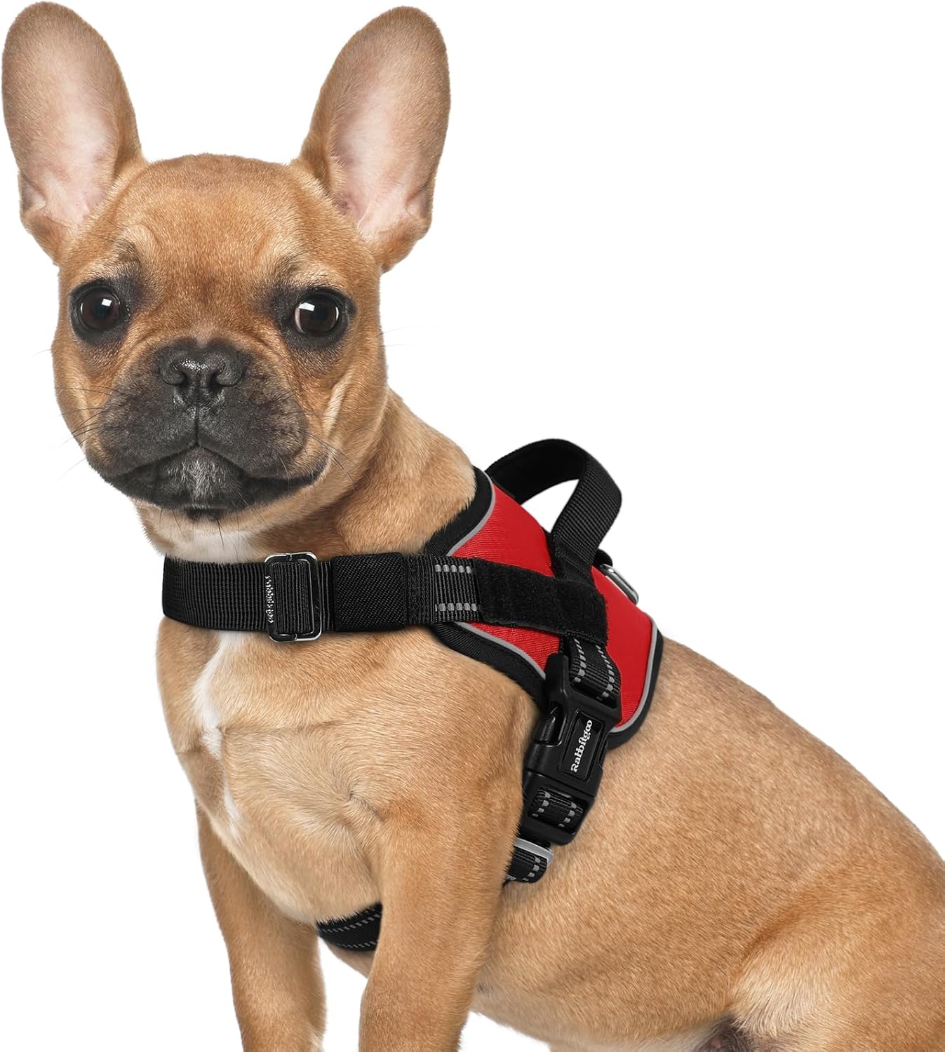 rabbitgoo Dog Harness for Small, Easy On Pet Vest with One Buckle, No Pull Adjus...