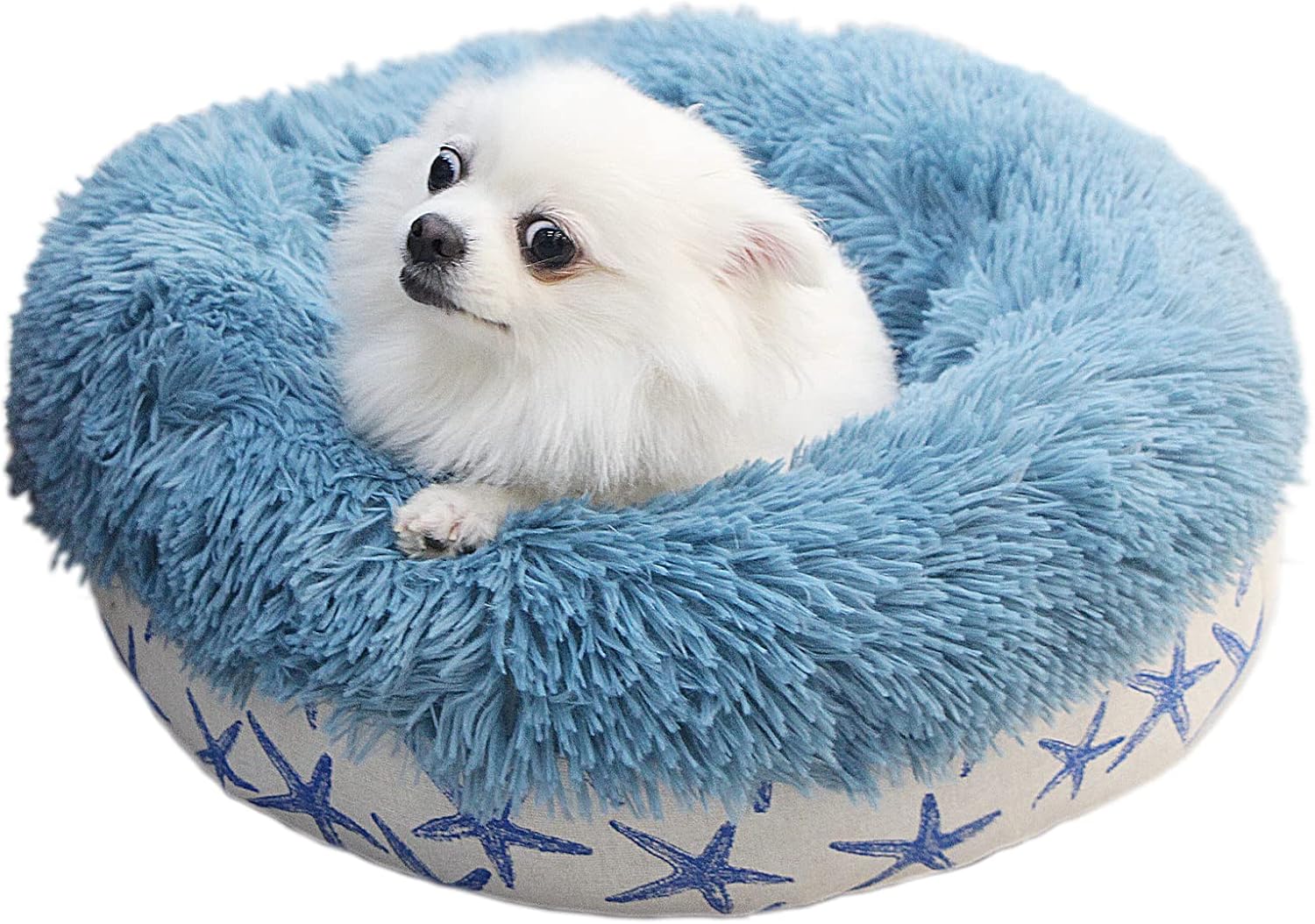 Puppy Beds for Small Dogs Washable 19 Inches Lake Blue Color Matching Starfish C...