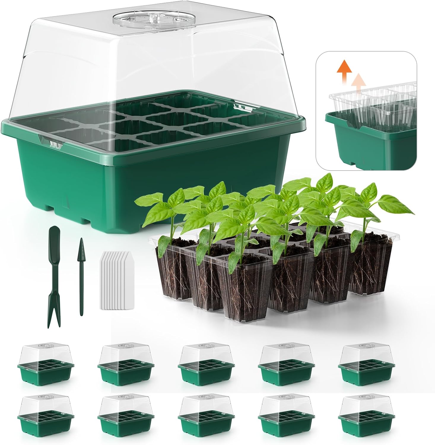 Seed Starter Tray, 10PCS Seed Starter Kit, Seedling Starter Trays with Heightene...