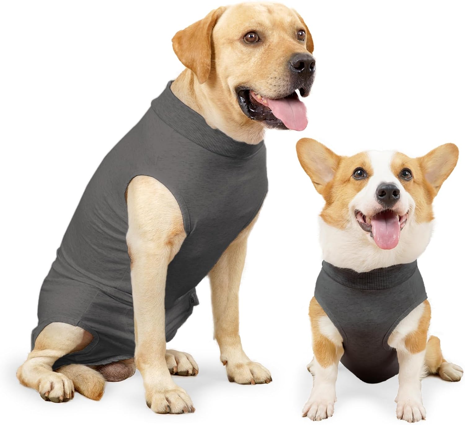 HEYWEAN Dog Recovery Suit Spay Suit for Female Dog Bodysuit After Surgery Dog On...