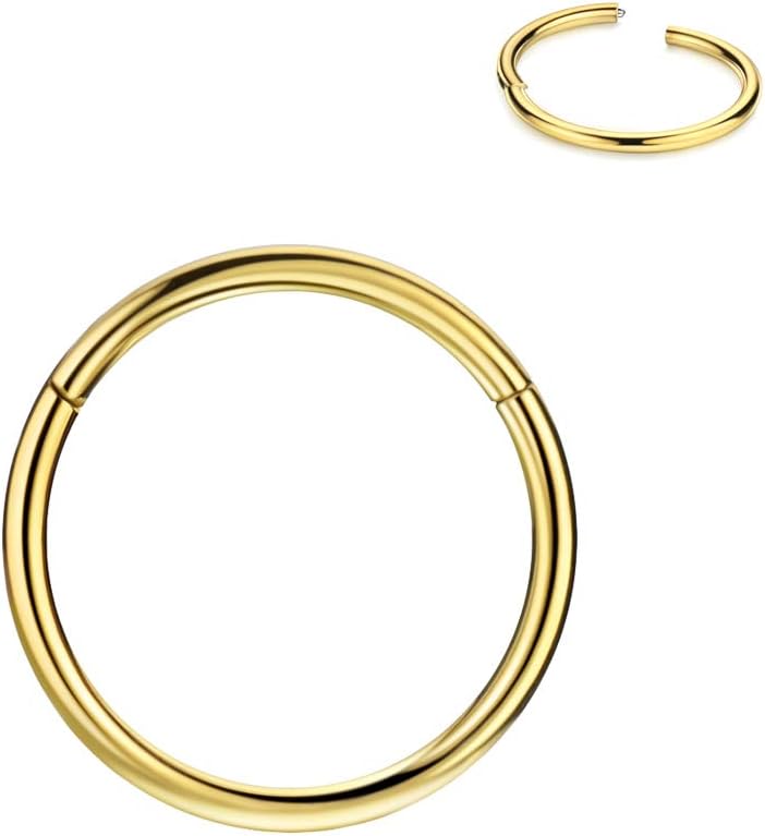 FANSING Men Women 316L Surgical Steel Hinged Nose Rings Hoop for Nostril Septum...