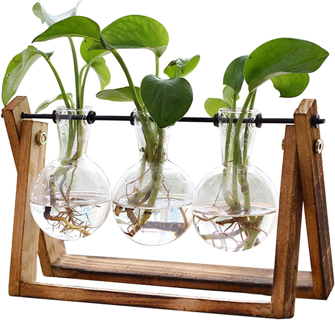 XXXFLOWER Plant Terrarium with Wooden Stand, Air Planter Bulb Glass Vase Metal S...