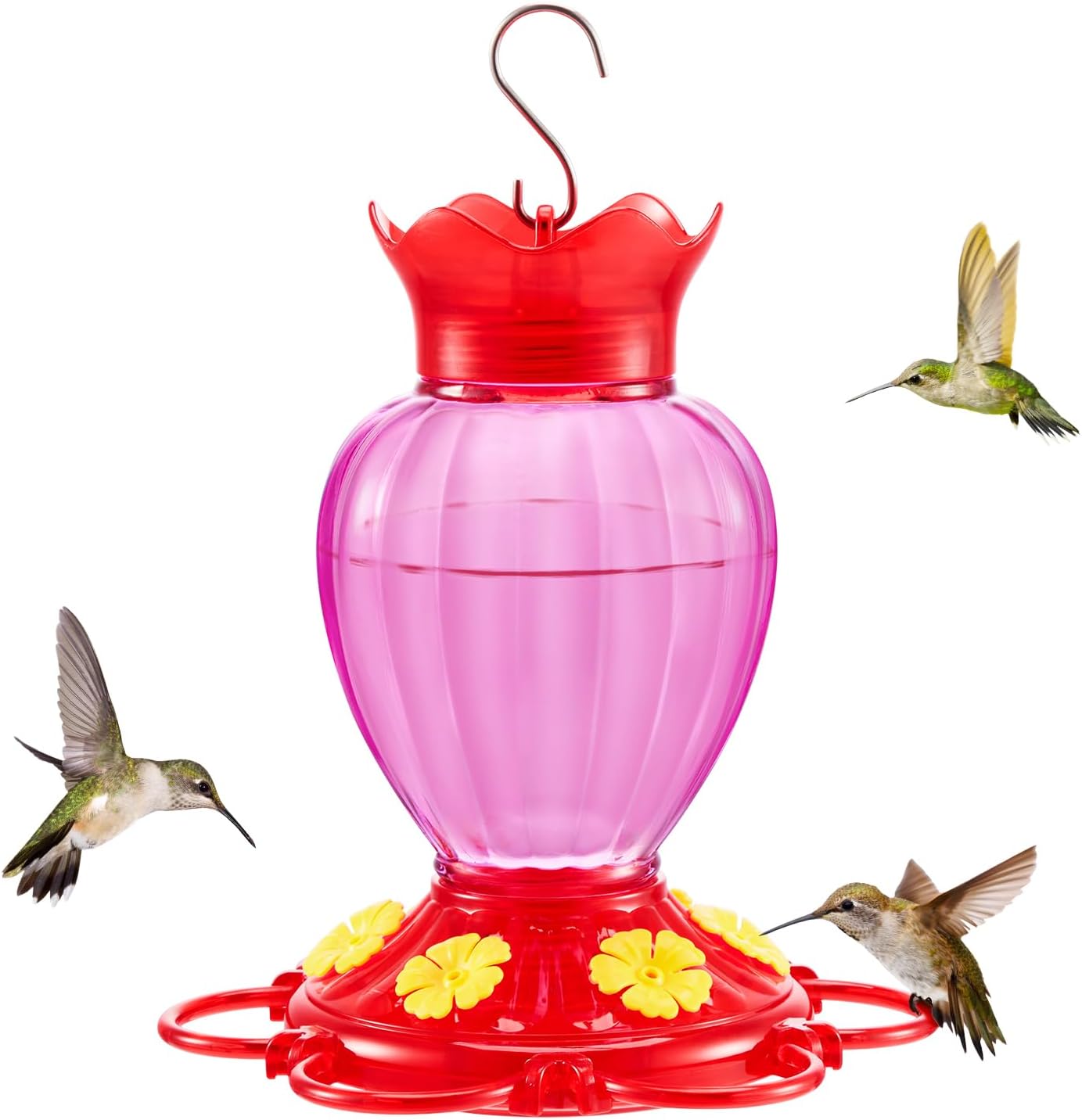 Hummingbird Feeder 20 oz, Glass Hanging Hummingbird Nectar with Feeder 6 Feeding...
