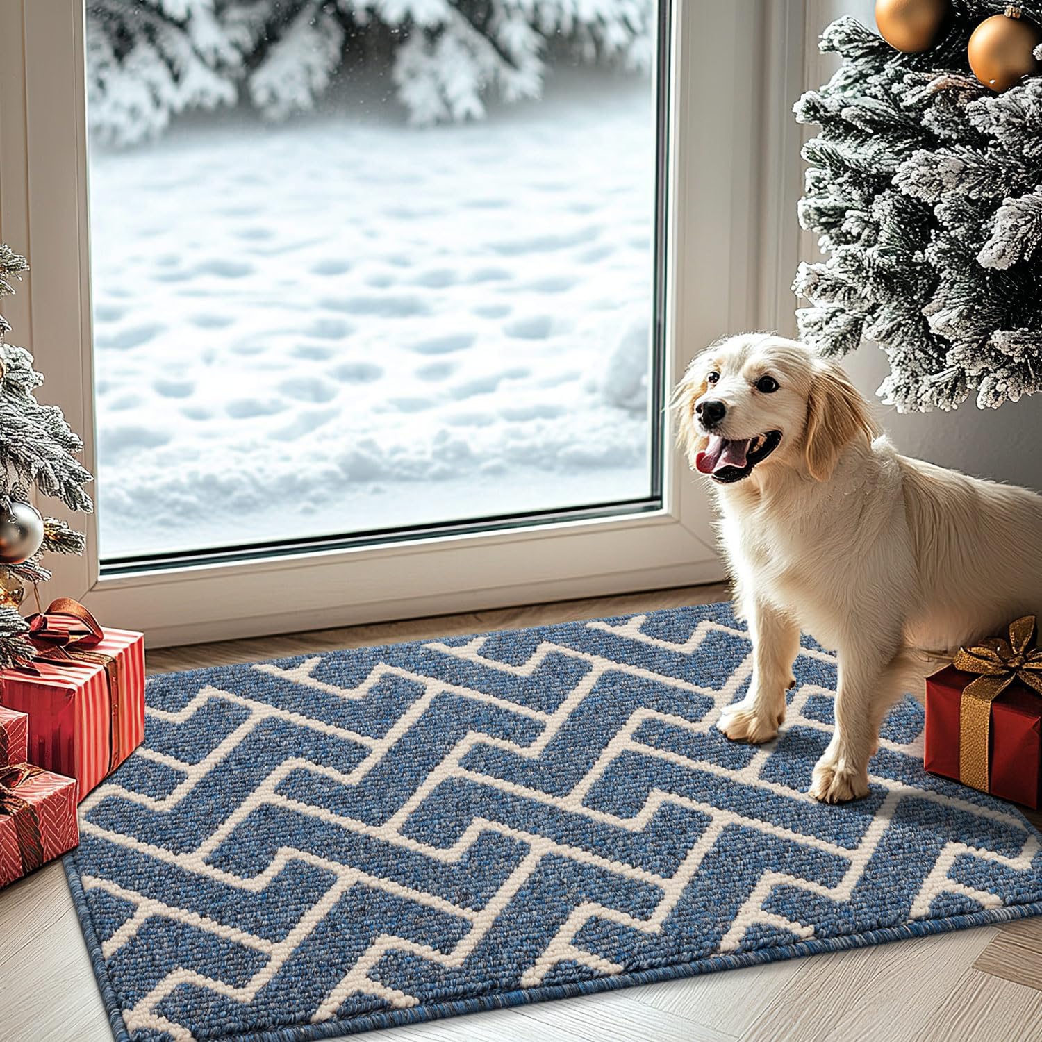 hicorfe Indoor Doormat,Front Back Door Mat Rubber Backing Non Slip Door Mats,20"...