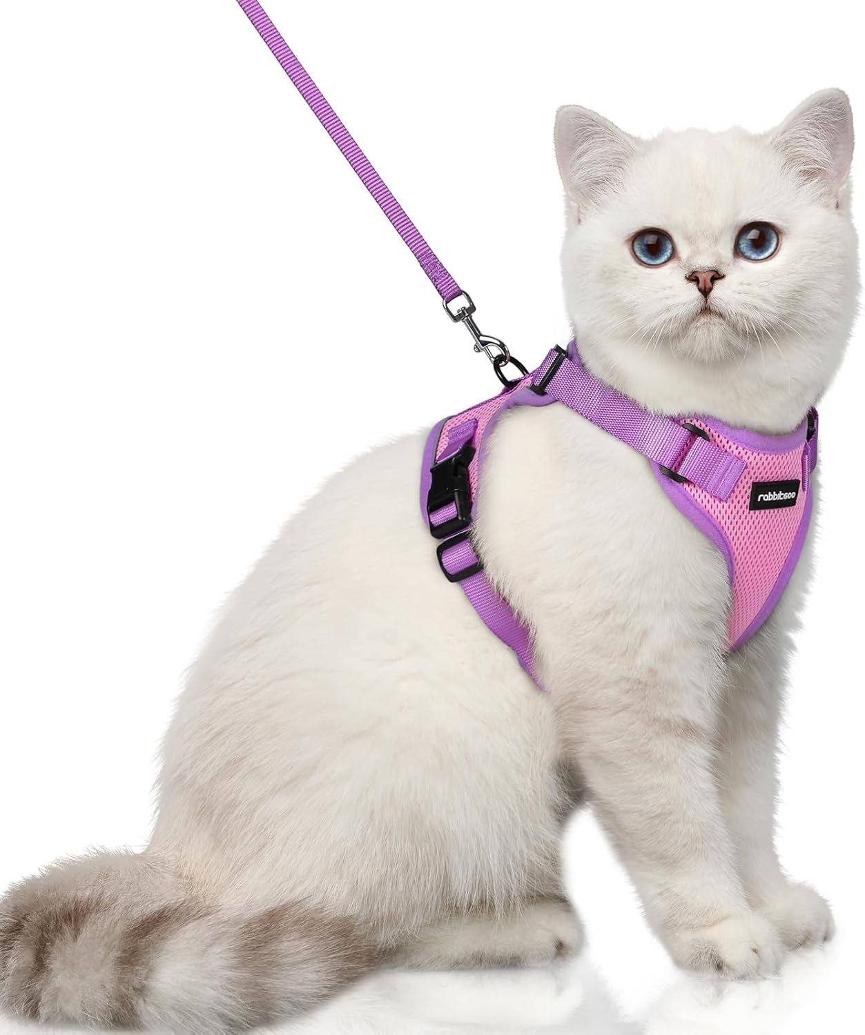 rabbitgoo Cat Harness and Leash Set, Escape Proof Soft Adjustable Vest Harnesses...