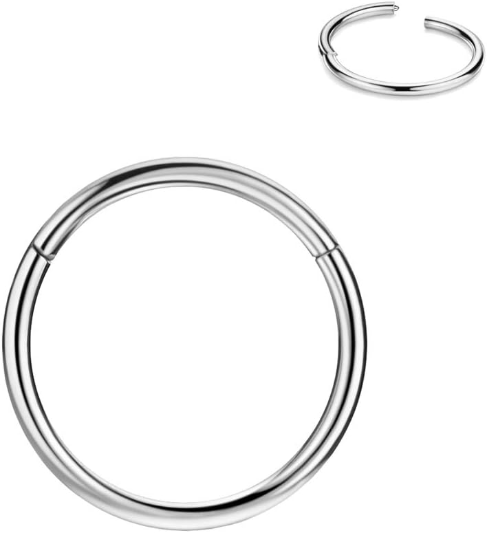 FANSING Men Women 316L Surgical Steel Hinged Nose Rings Hoop for Nostril Septum...