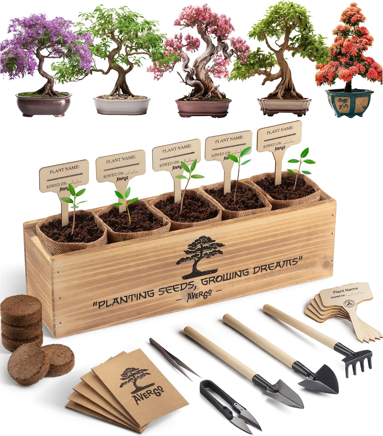 Bonsai Tree Kit – 5X Unique Japanese Bonzai Trees | Complete Indoor Bonsai Start...