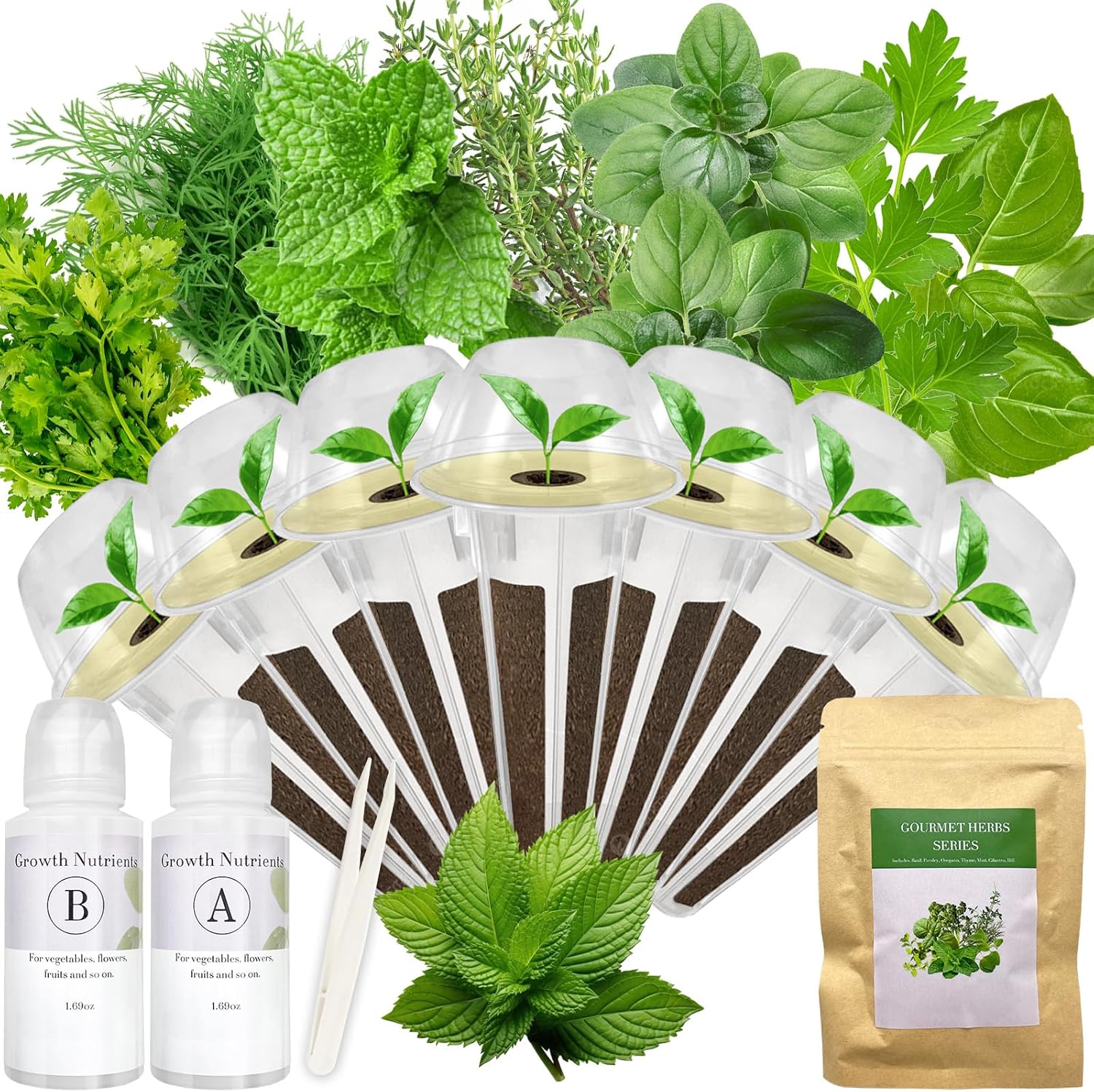 Gourmet Herb Seed Pod Kit for AeroGarden, idoo, Ahopegarden, MUFGA Hydroponics G...