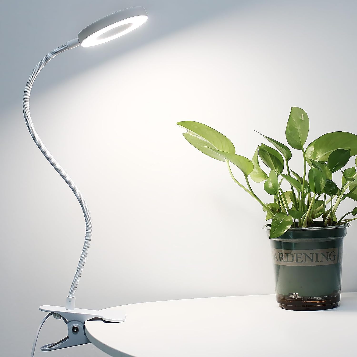 Desk Clip on Lamp for Reading Home Office, 10 Dimmable Brightness 3 Modes, Clamp...