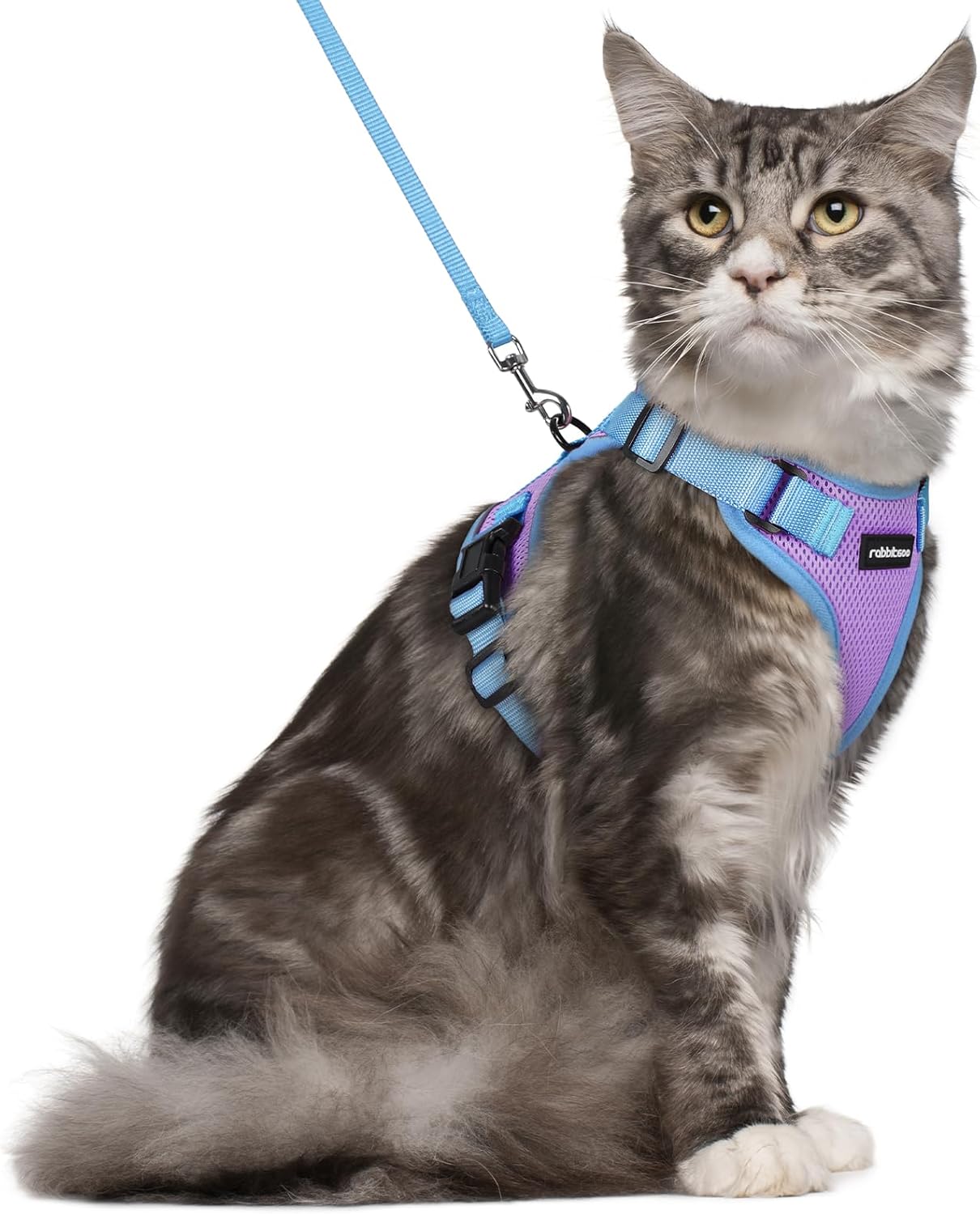 rabbitgoo Cat Harness and Leash Set, Escape Proof Soft Adjustable Vest Harnesses...