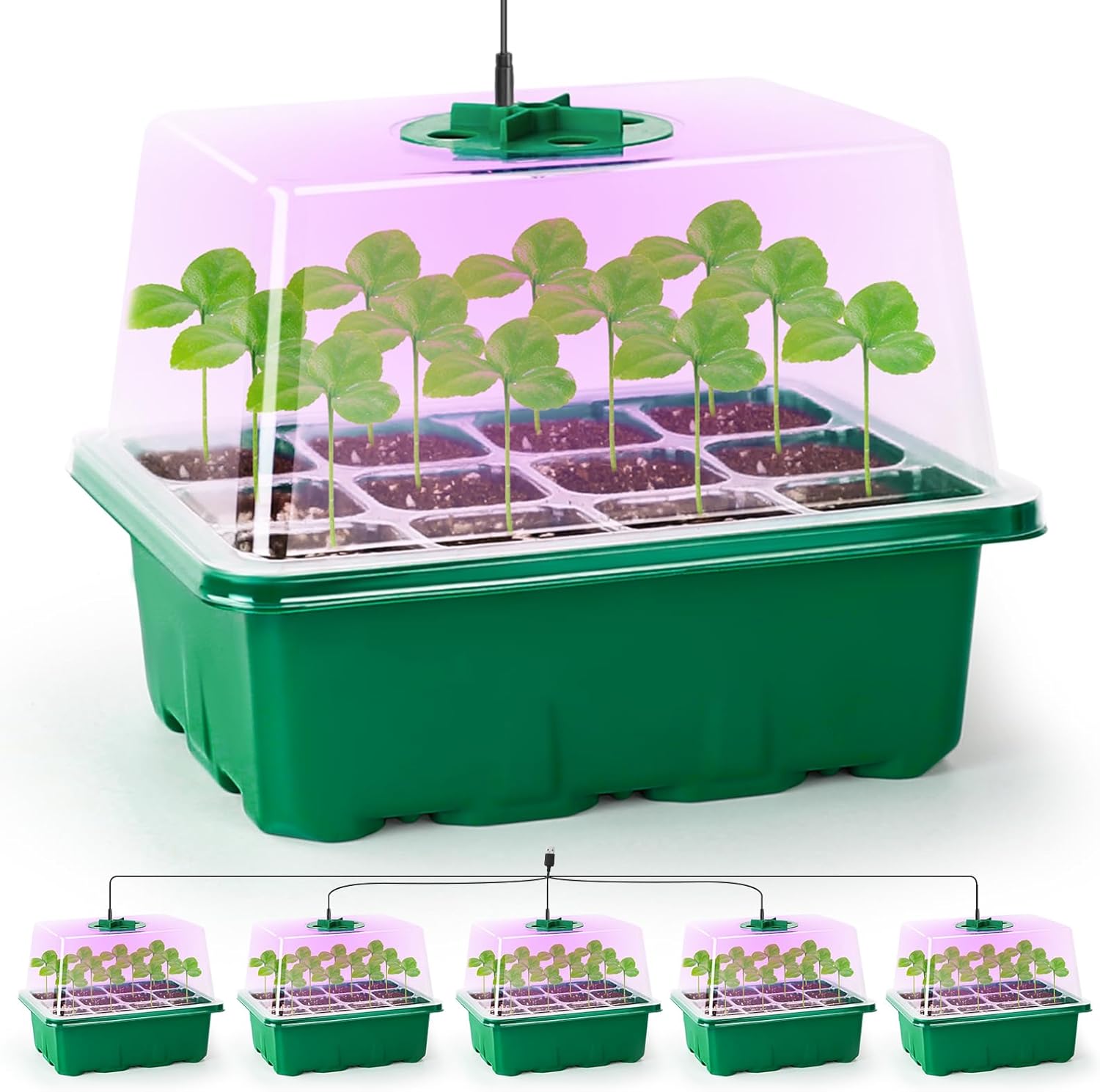 MIXC Seed Trays with Grow Light, 5 Pack Seed Trays with Lids, Propagators for Pl...