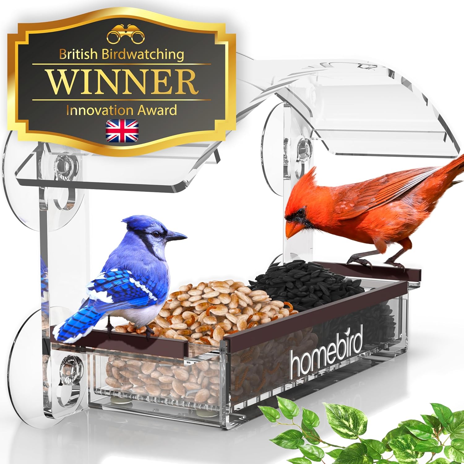 Window Bird Feeder with Strong Suction Cups - (Upg...