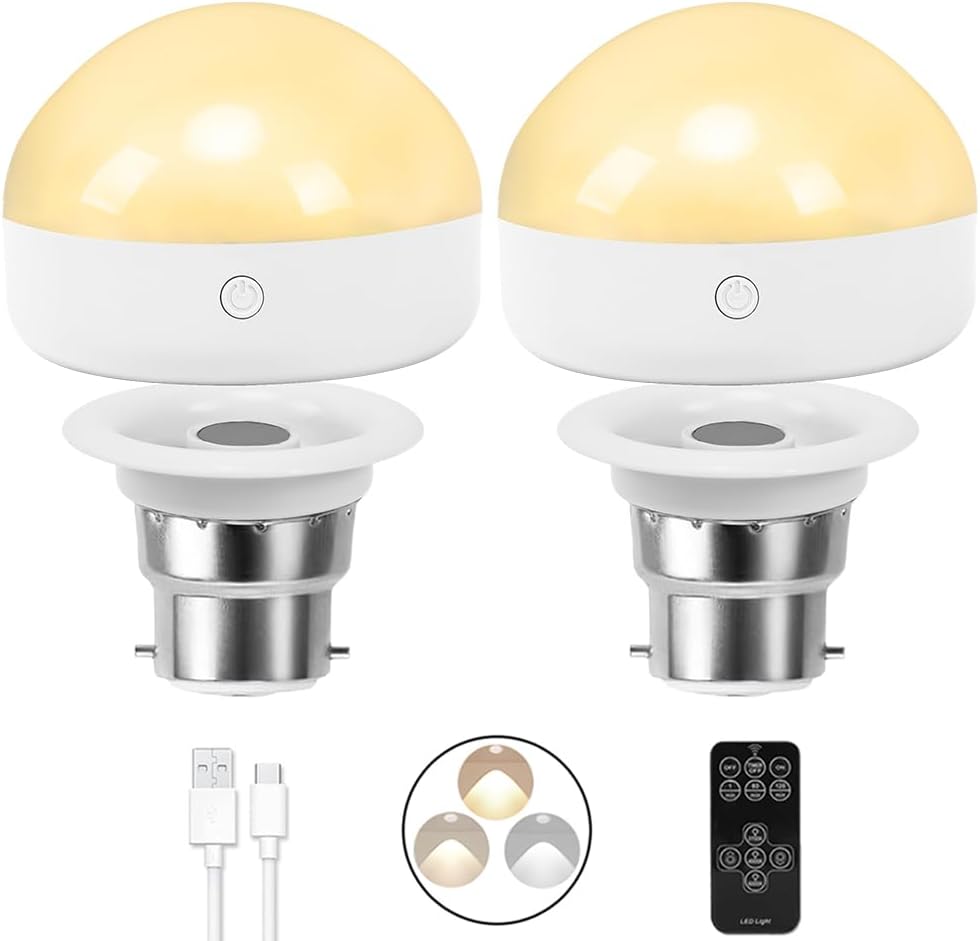 BLUEYE 2Packs Rechargeable Light Bulbs,Remote Control,40W Equivalent,300Lumens,B...