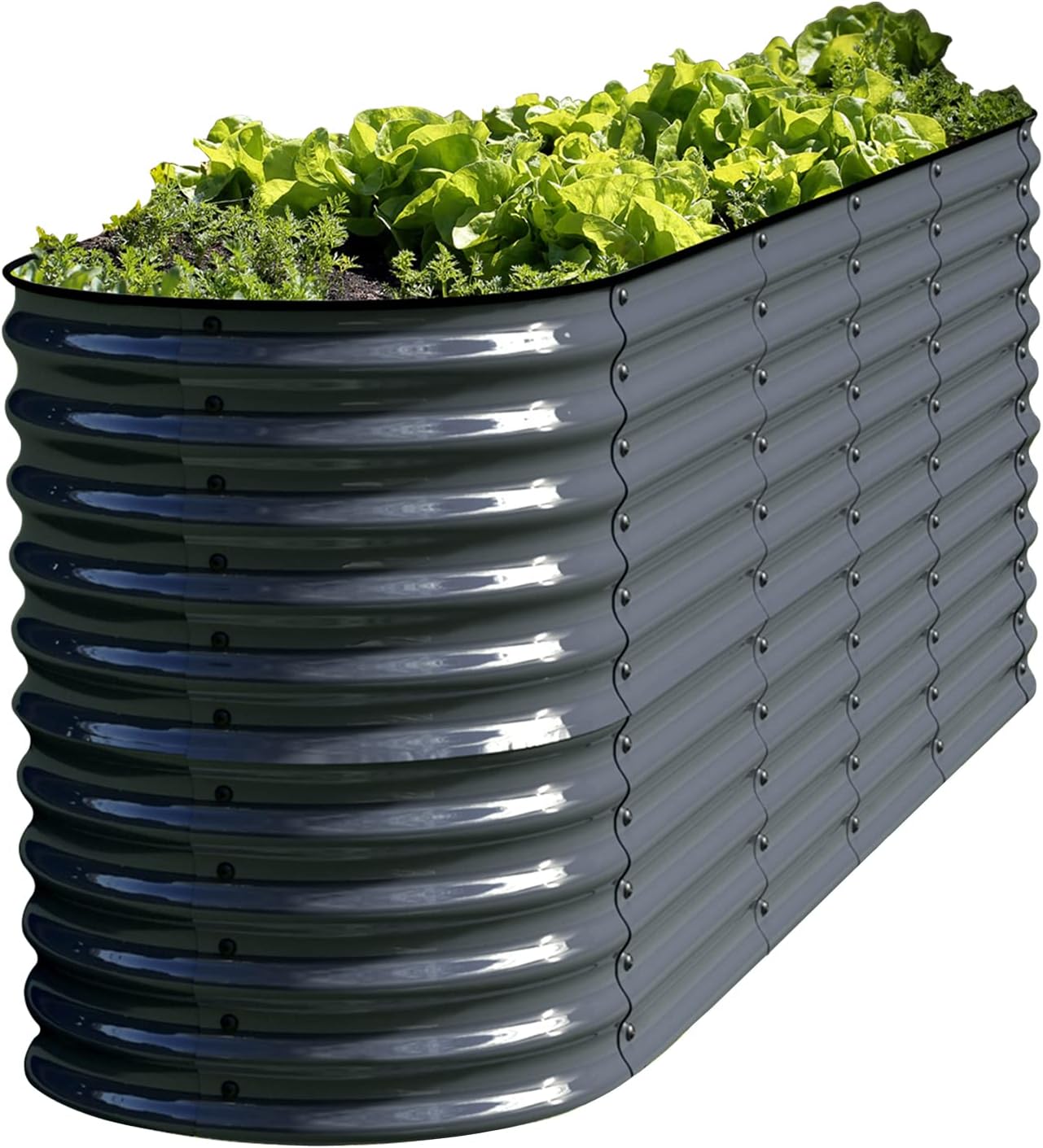 Olle Galvanized Raised Garden Bed Outdoor 32" Tall 12 in 1 Metal Raised Garden P...