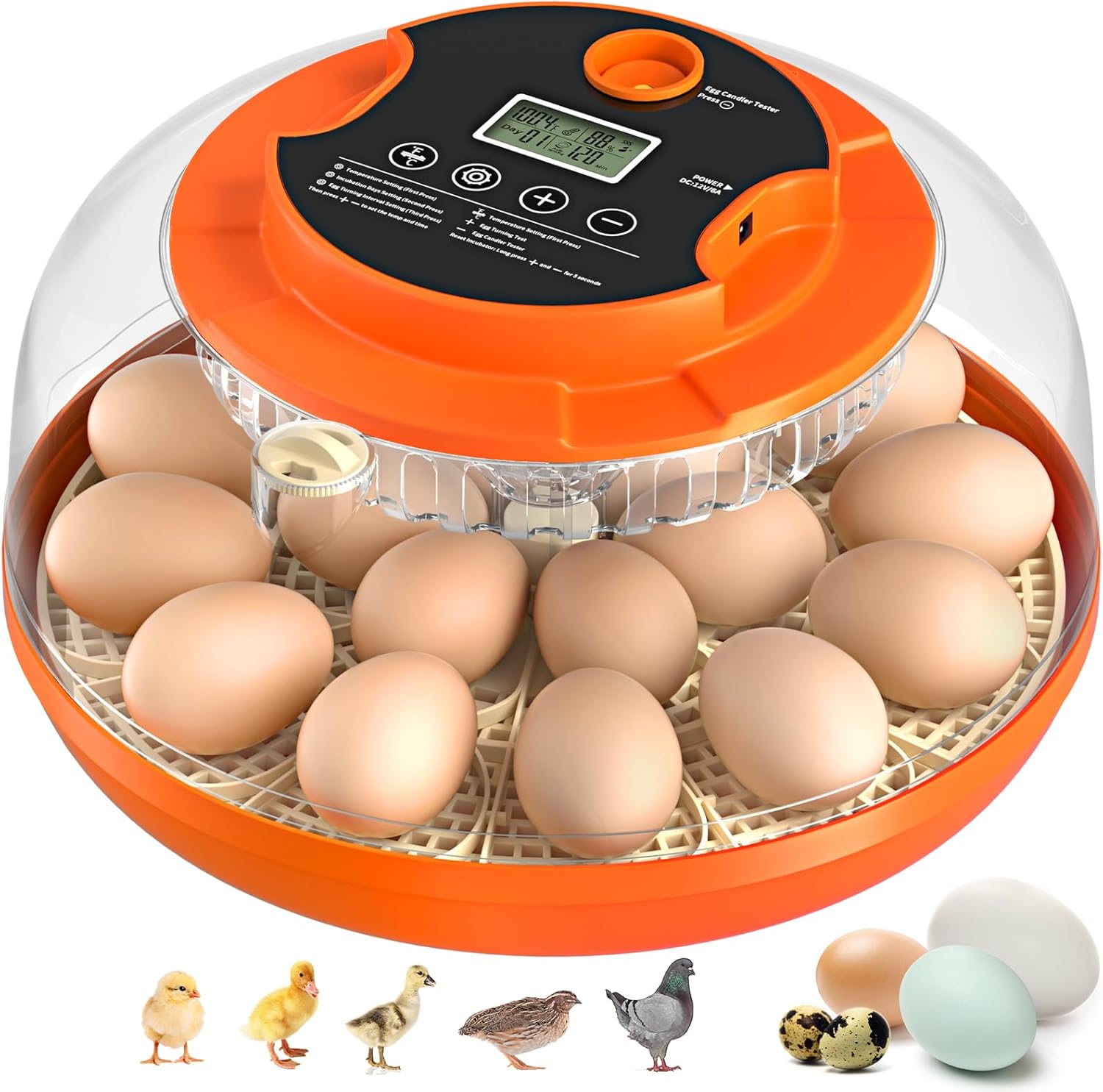 18 Egg Incubator with Automatic Egg Turning and Humidity Control, Incubators for...