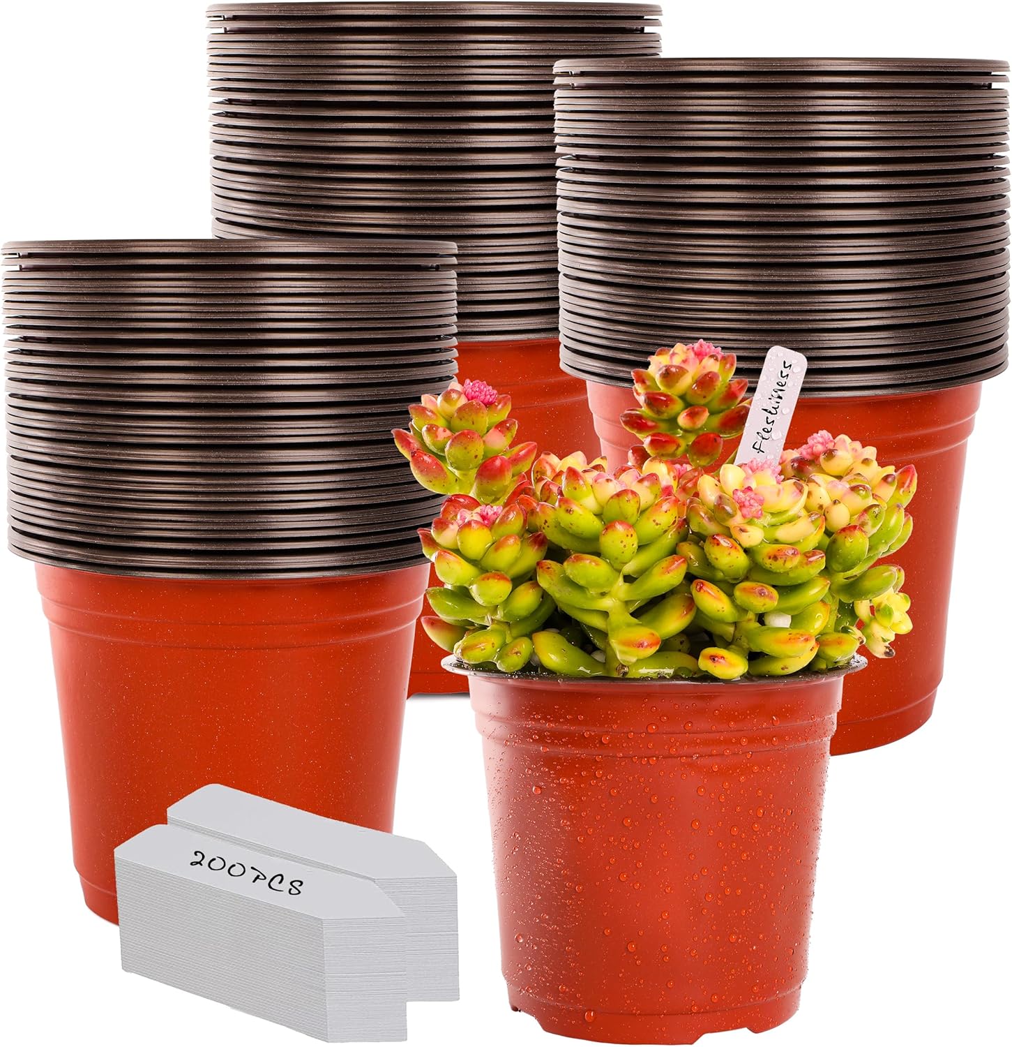 TDHDIKE 6 Inch Plastic Plant Nursery Pot/Pots (200pcs Pots and 200pcs Plant Labe...