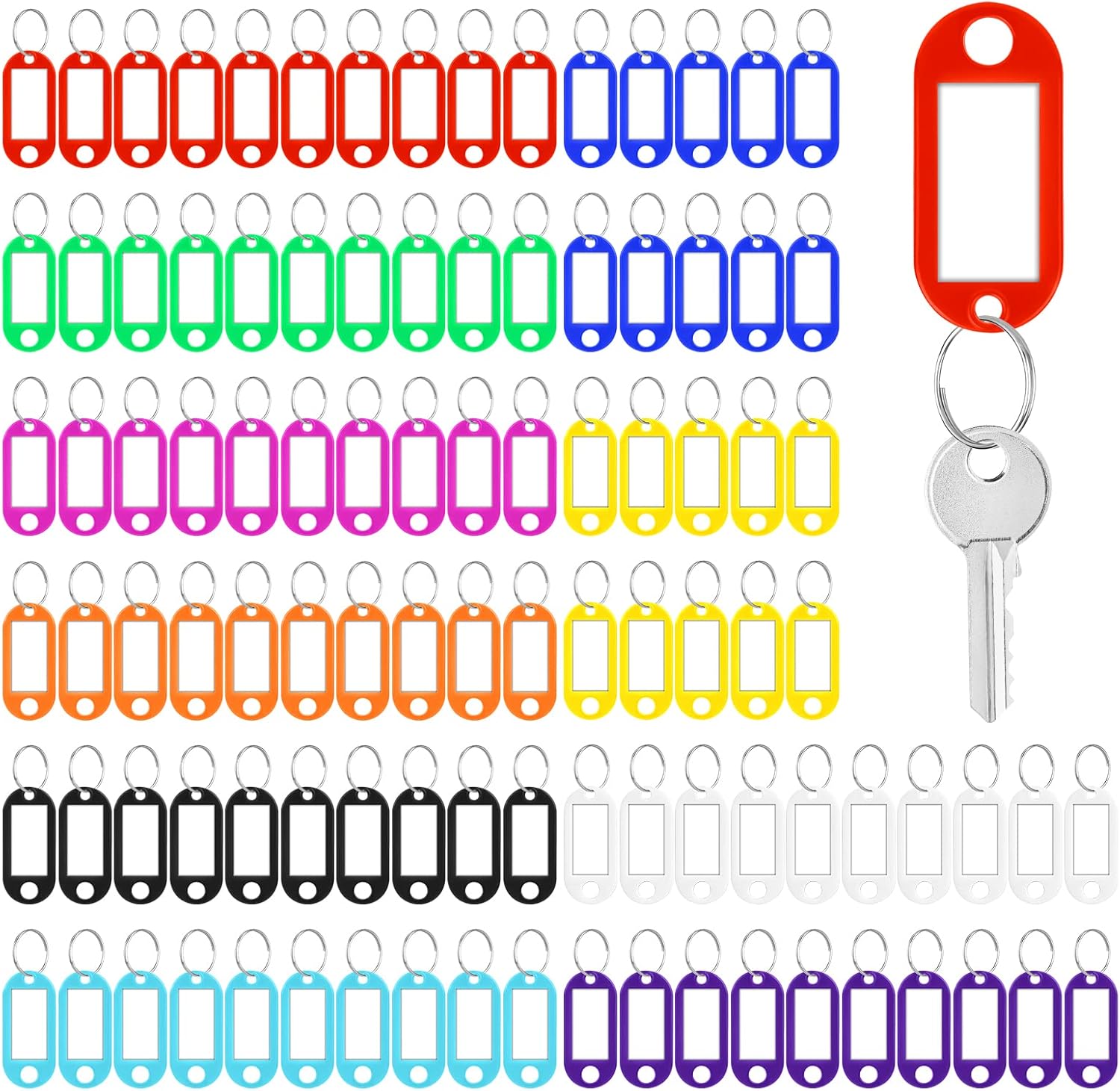 Vicloon Key Tags with Labels, 100 PCS Key Tags with Split Ring, Sturdy & Durable...