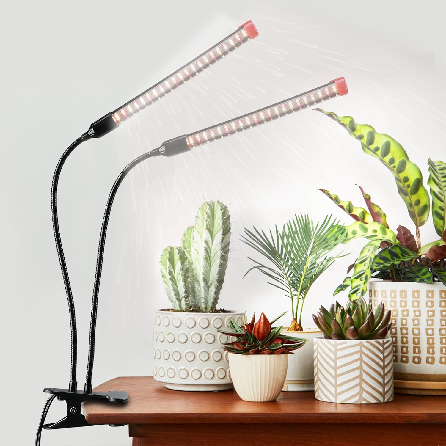 Grow Lights for Seed Starting Seedlings with Timer, 18 Watt Power Brightest Smal...