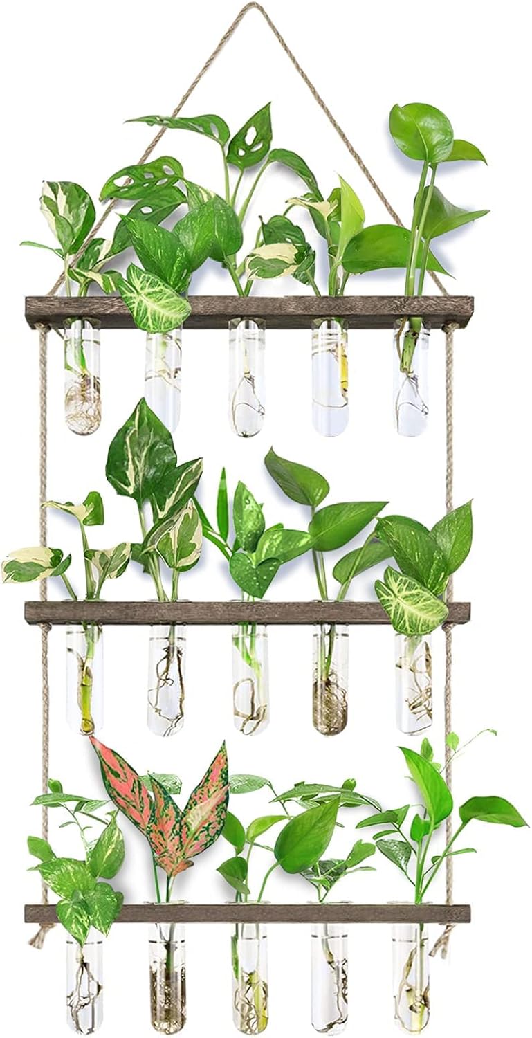 XXXFLOWER Wall Hanging Propagation Station with Wo...