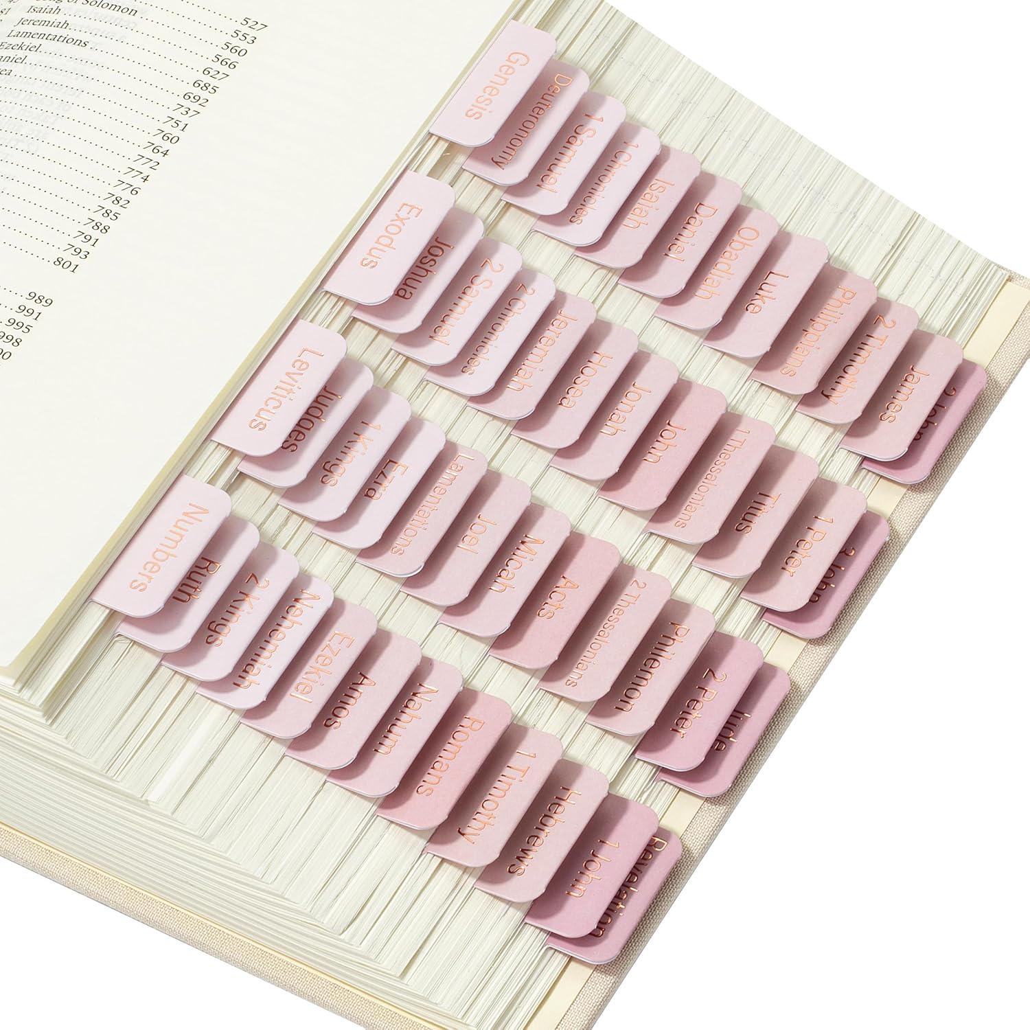 Mr. Pen- Bible Tabs, 75 Tabs, Pink Shades, Laminated Bible Tabs for Women and Me...
