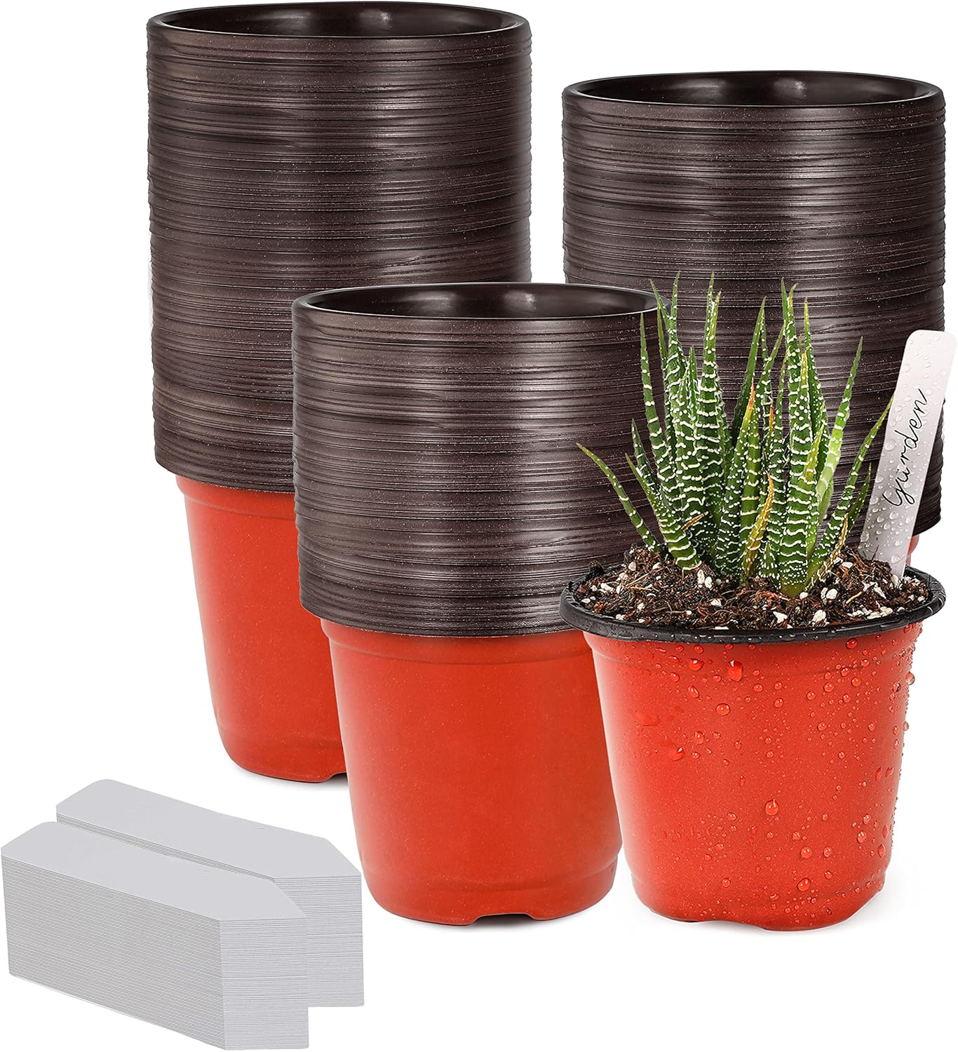 TDHDIKE 4" Small Plastic Plant Pots with 200 Red Seed Starting Pots for Indoor a...