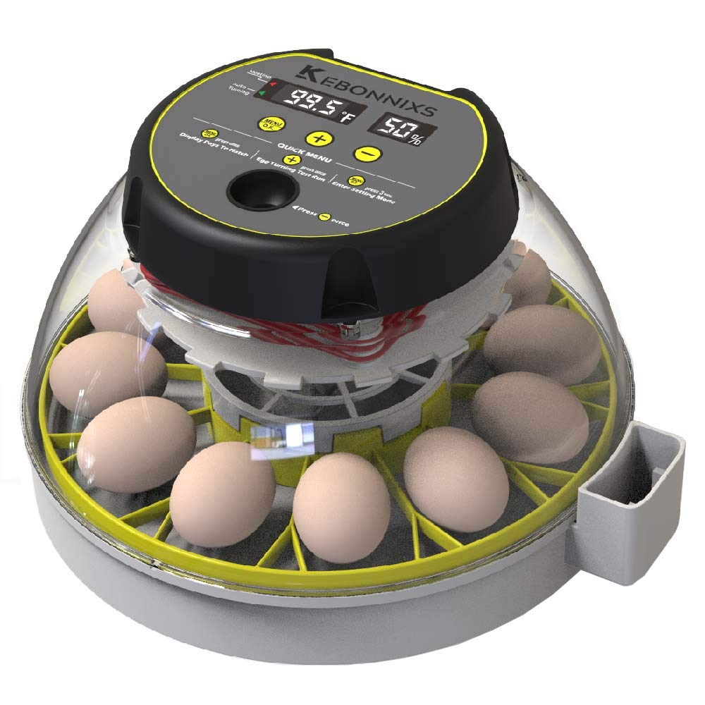 12 Egg Incubator with Humidity Display, Egg Candler, Automatic Egg Turner, for H...
