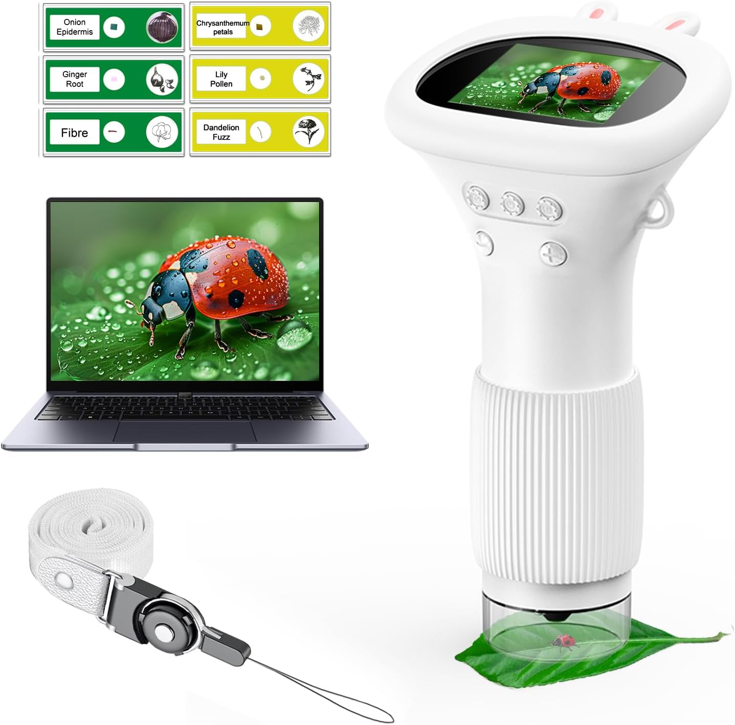 Microscope for Kids - Portable Handheld Magnifying Glass for Girls | Mini Digita...