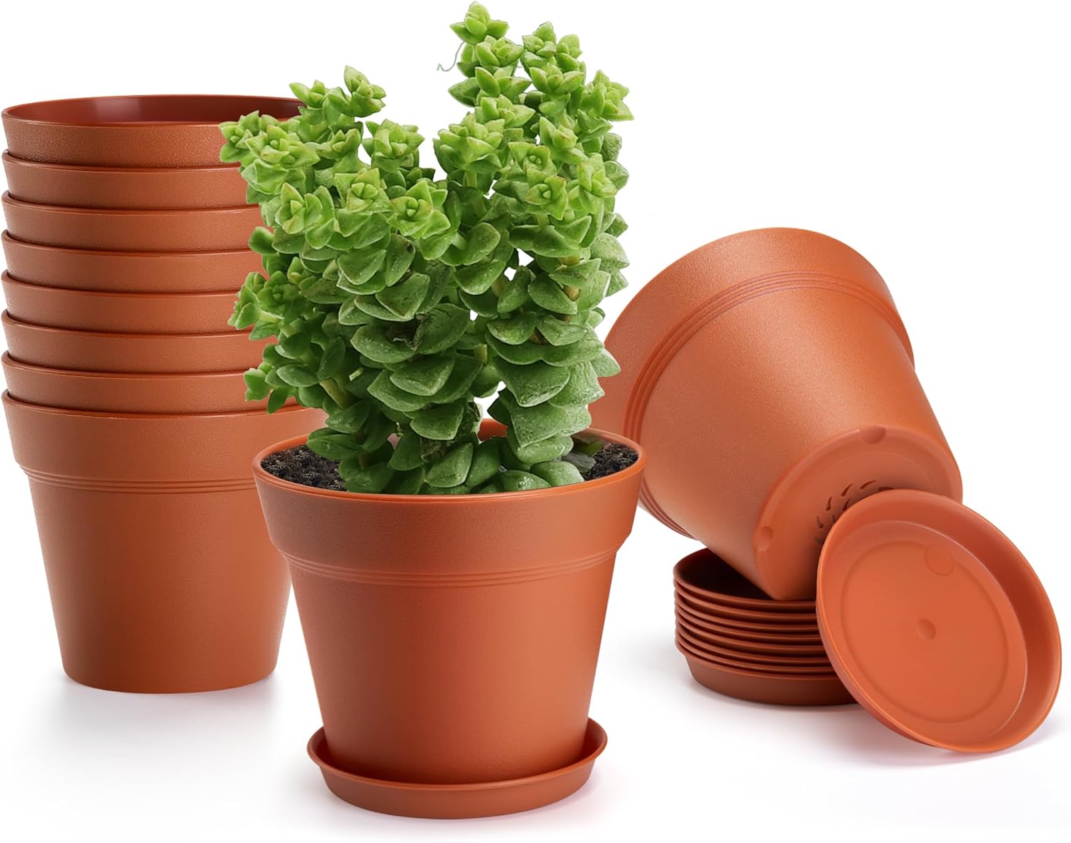 10 Pack Plastic Plant Pots with Drainage Holes and Tray, 5 inch Thickened Indoor...