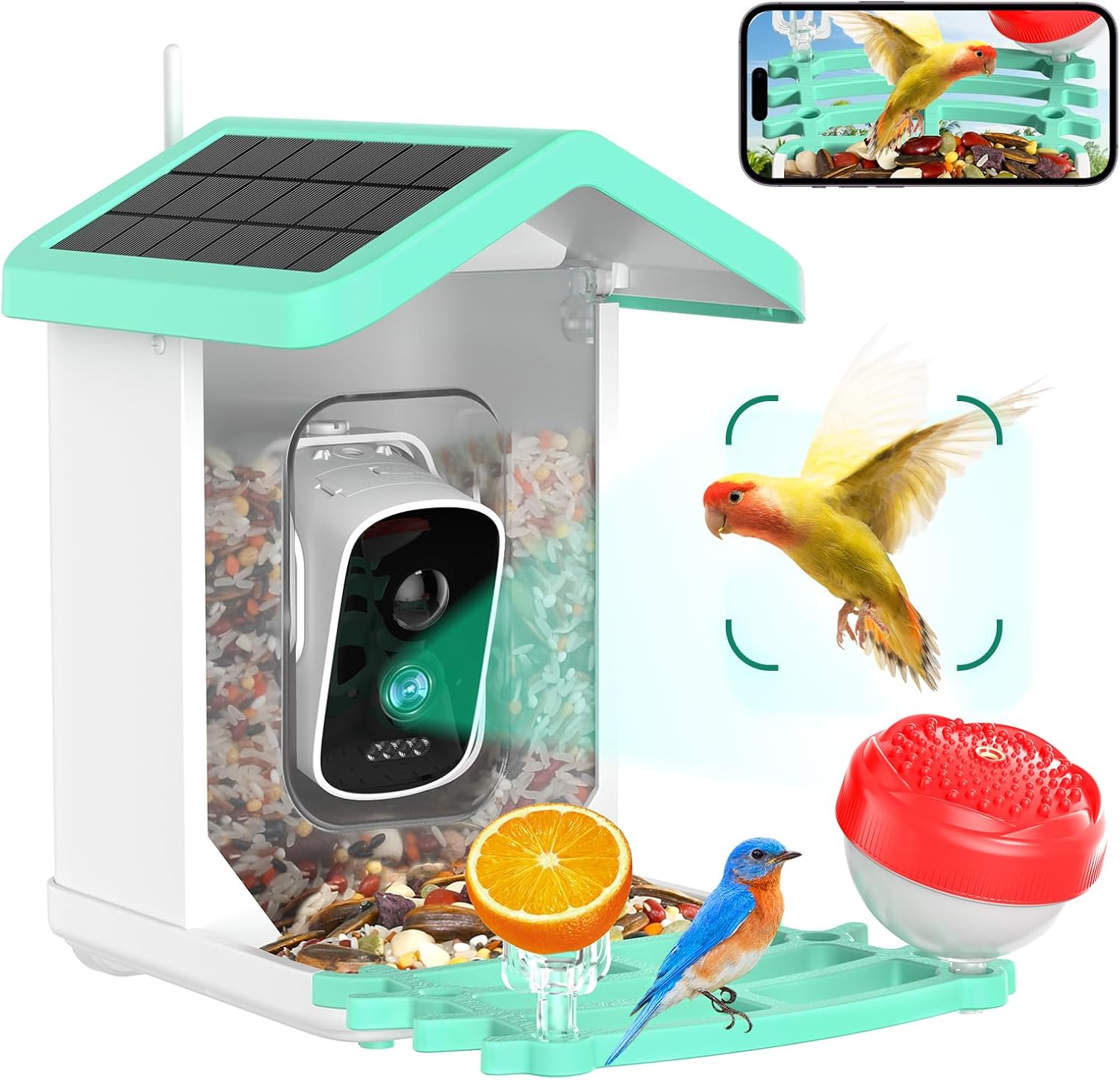 Bird Feeder with Camera, 4K HD AI Identify Bird Species, Smart Solar-Powered Bir...