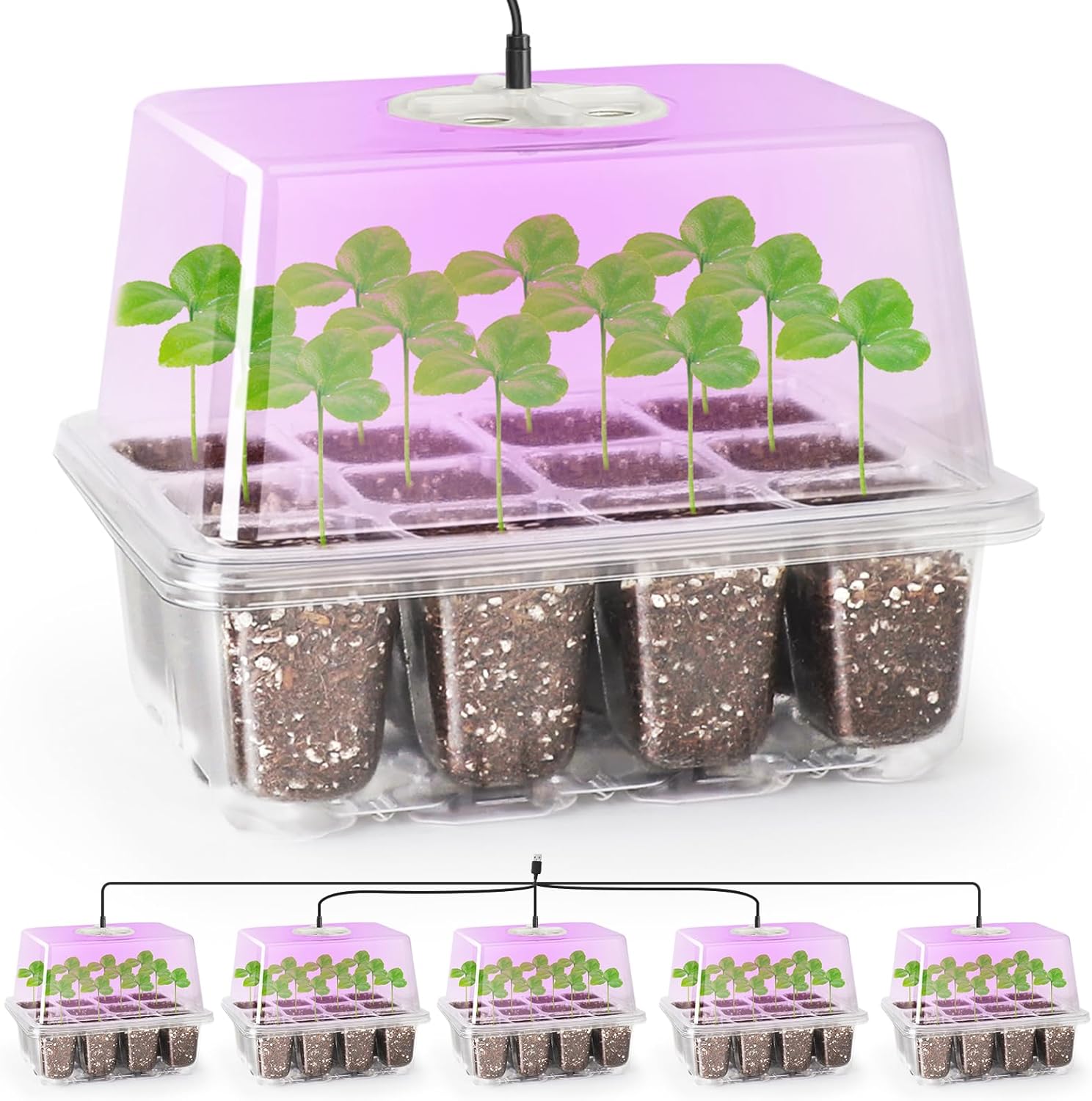 Bonviee 5 Packs Seed Starter Tray with Grow Light, Elevated Seedling Starter Tra...