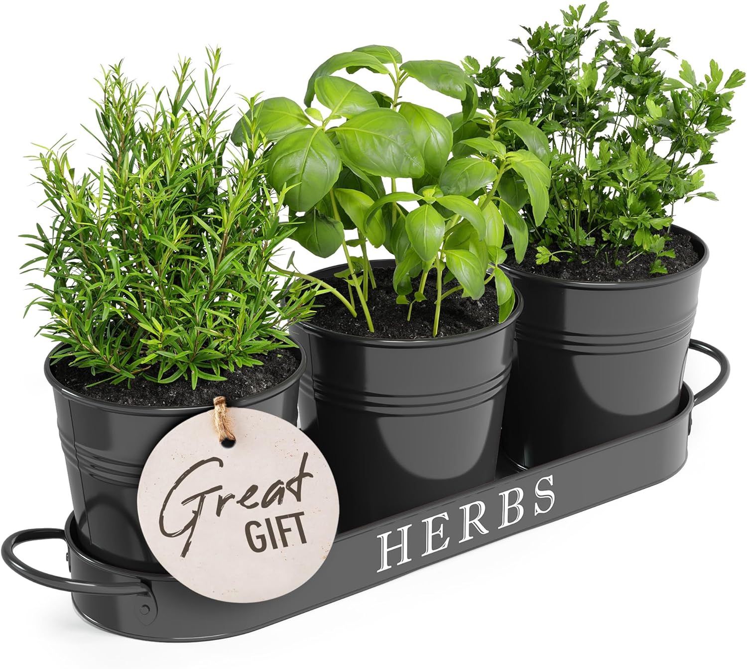 Elegant Barnyard Designs Indoor Herb Garden Planter Set, Unique Metal Windowsill...