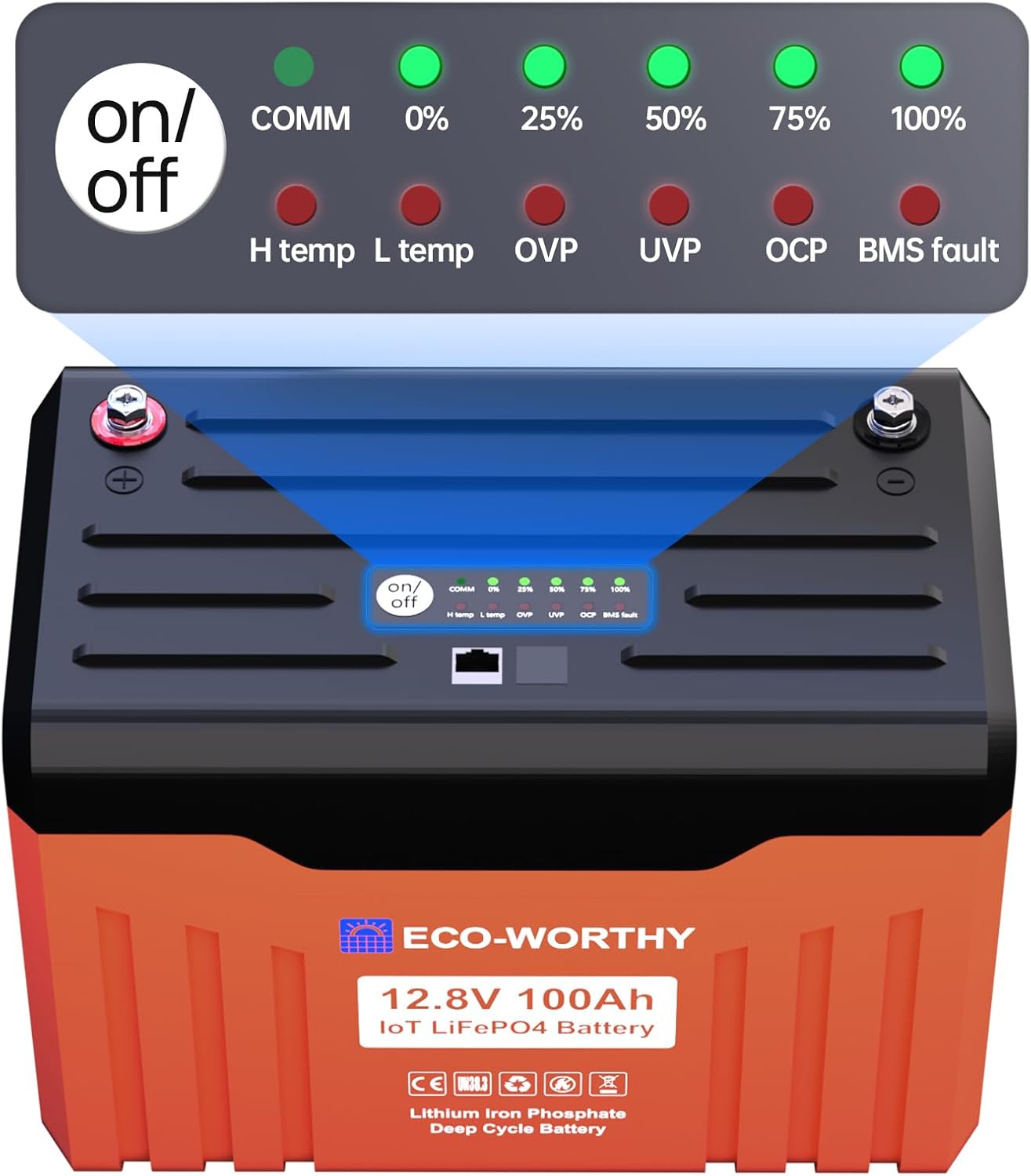 ECO-WORTHY 12V 100AH​ LiFePO4 Lithium Battery with Battery Status Display, 100A...