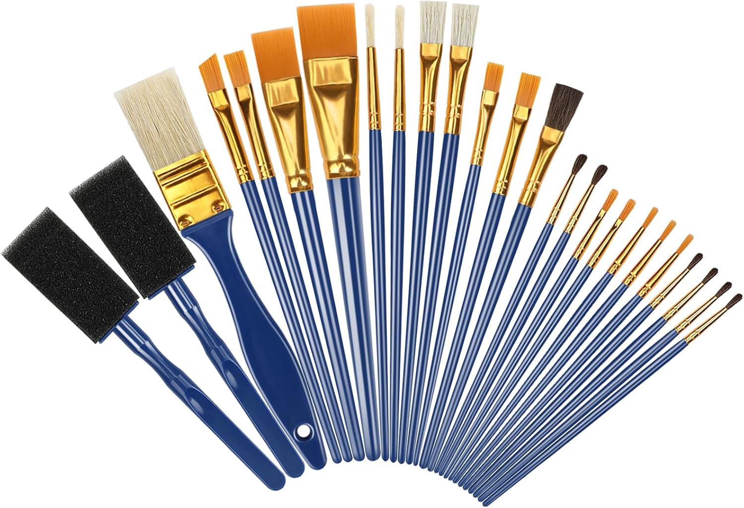Halobios 25 Pcs Paint Brushes Set, Acrylic Painting Brushes for Children Beginne...