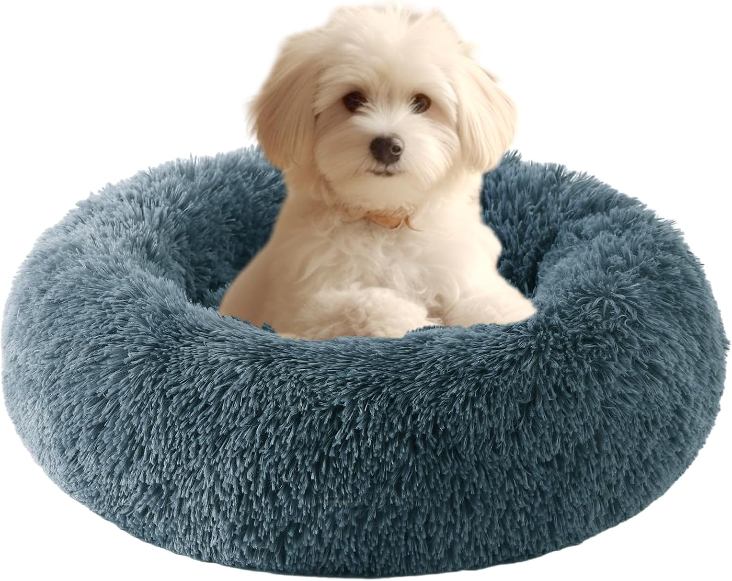 HYQ Small Dog Bed, Cat Beds for Indoor Cats, Pet Beds for Small Dogs, Fluffy Fau...