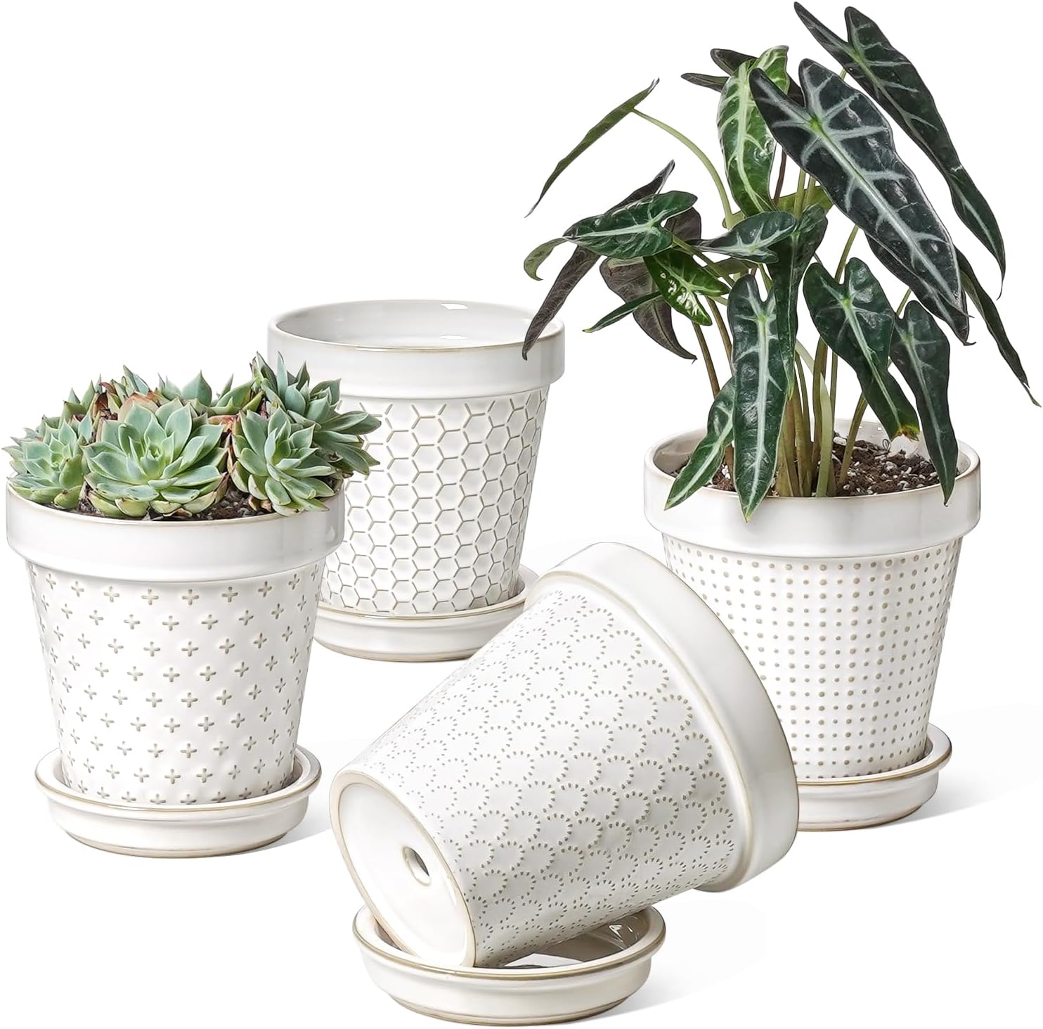 LE TAUCI Ceramic Plant Pots, Cute Succulent Pots with Saucer, 6 Inch Flower Pots...