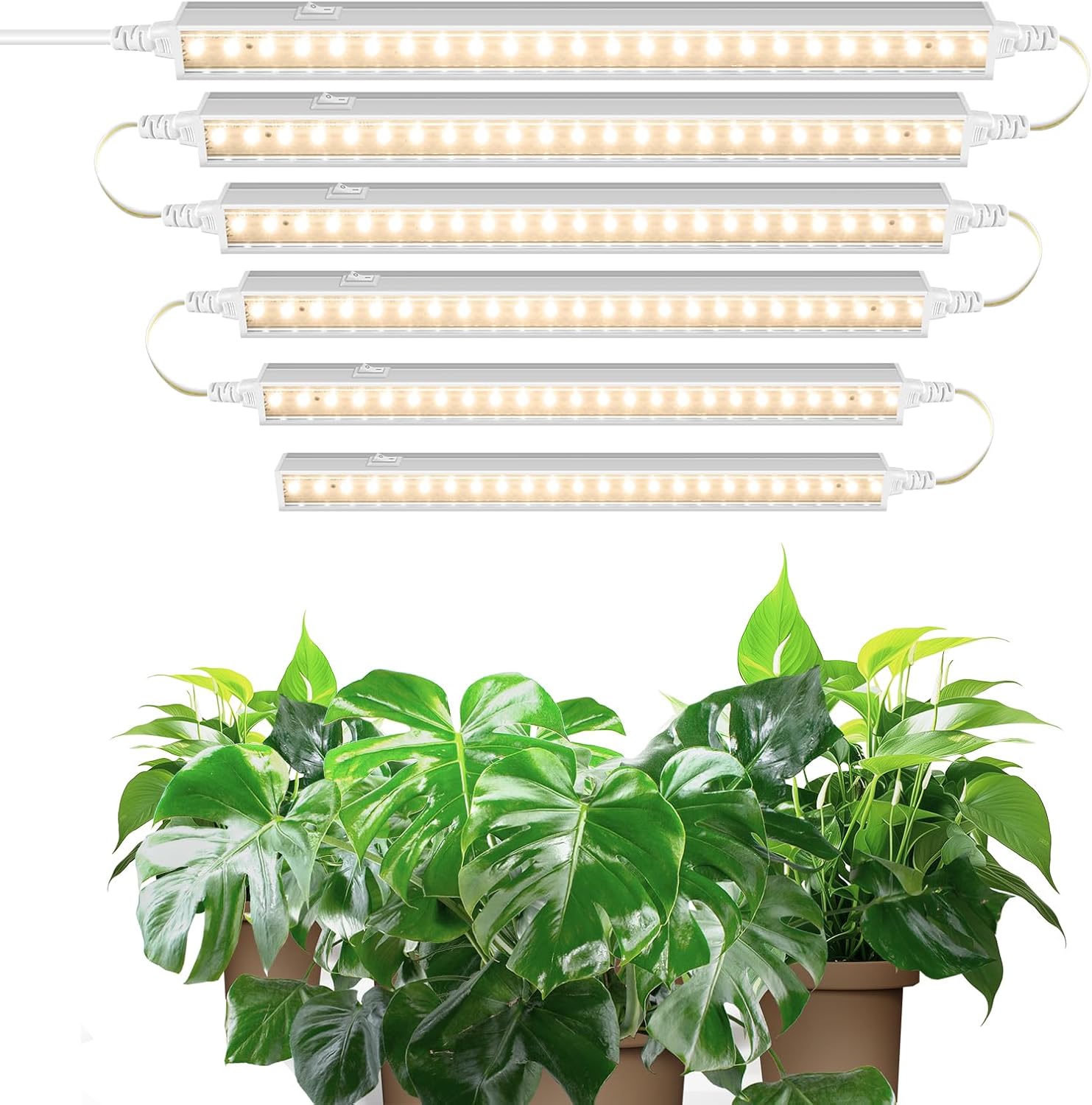 Barrina T5 1FT Grow Lights for Indoor Plants, Yellow, Full Spectrum Sunlight, 30...