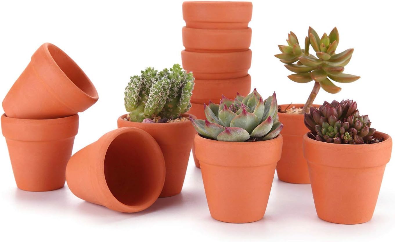 T4U 6.5CM Terracotta Plant Pots 12 Pcs, Mini Terracotta Pots with Drainage Holes...