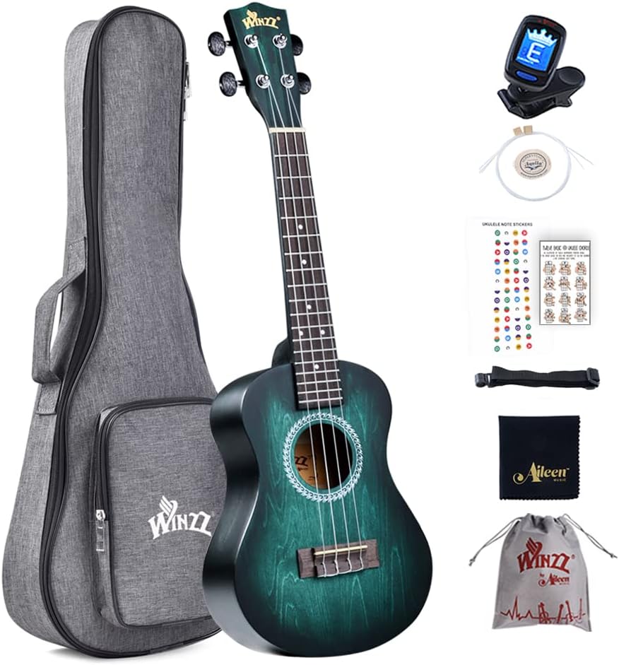 Winzz Ukulele Concert 23 Inches Blue-green, Ukulele Beginner Kit for Adults and...
