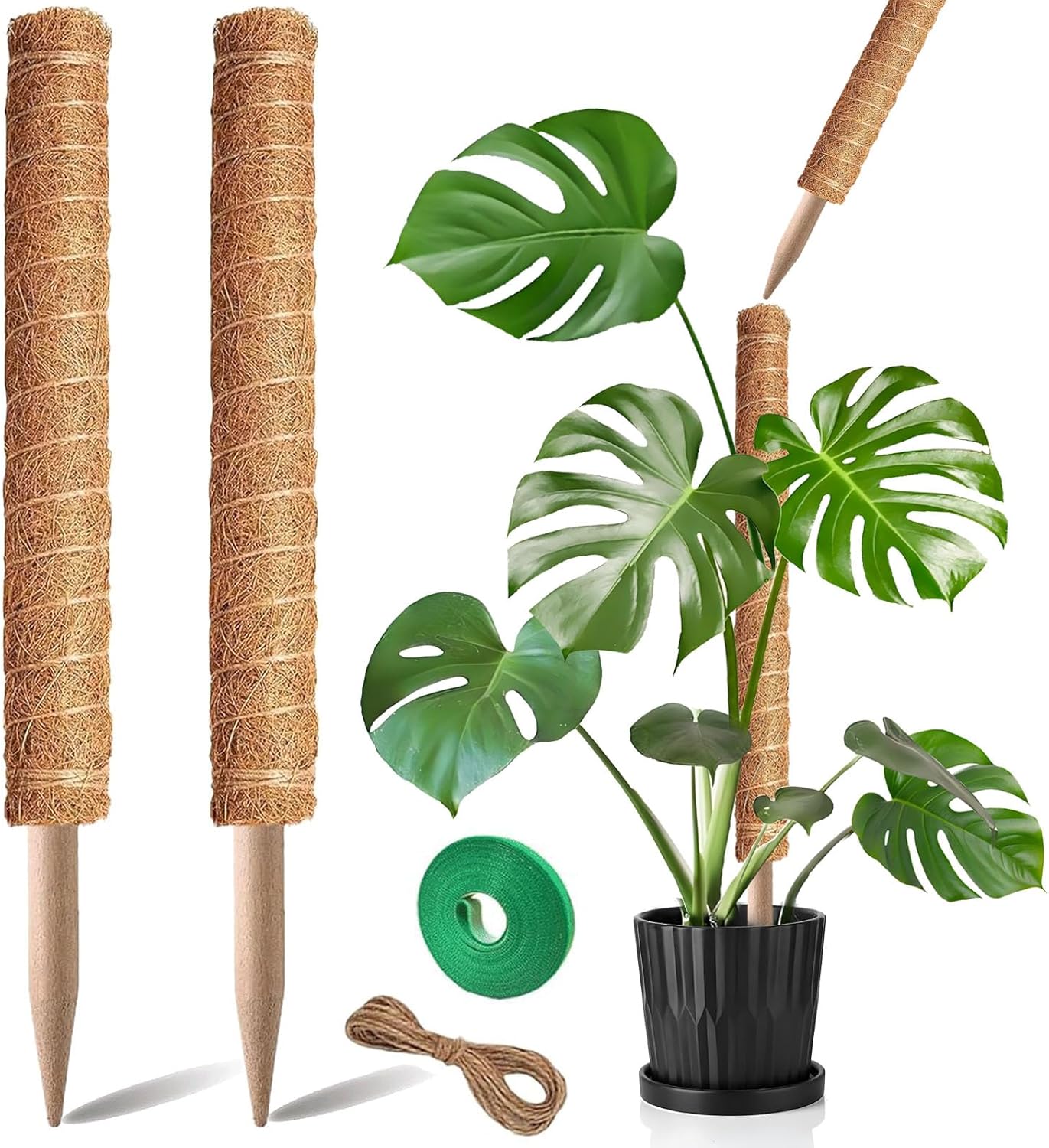 Moss Pole, 2Pack 21 Inch Plant Support Stakes for Indoor Plants, Monstera Plant...