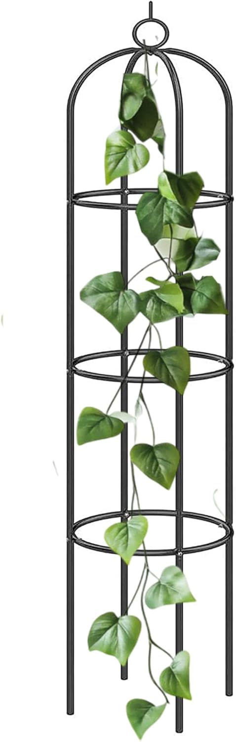 High-Quality DIVCHI Metal Garden Obelisk, Special Climbing Plant Structure, Dura...